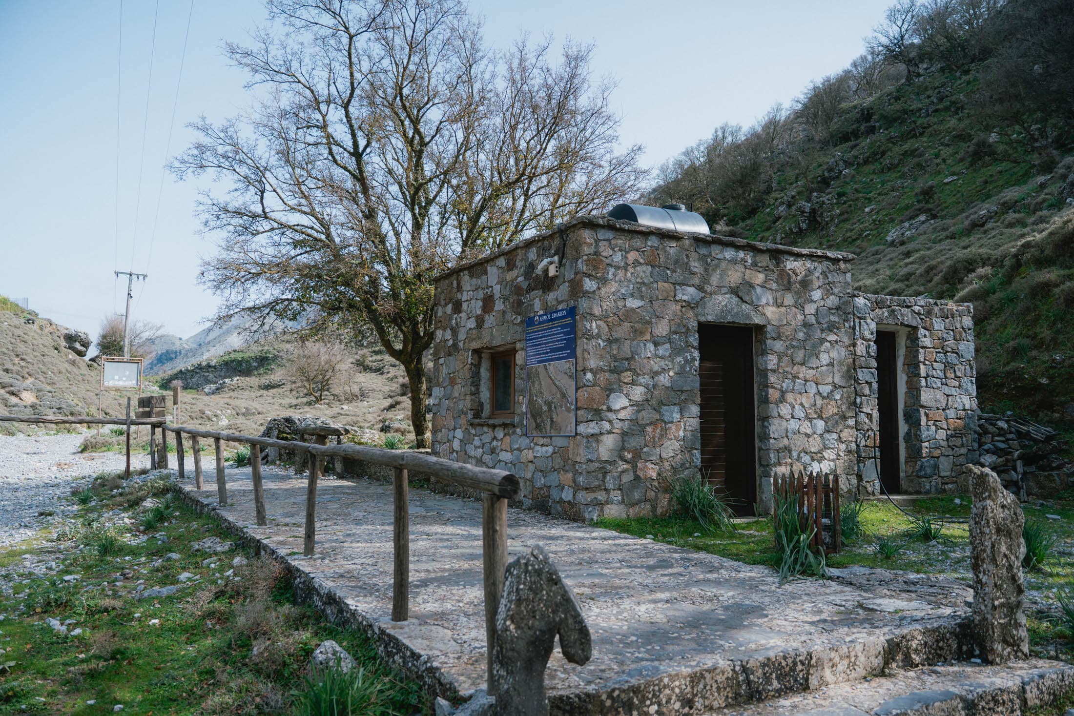 Alt text not provided