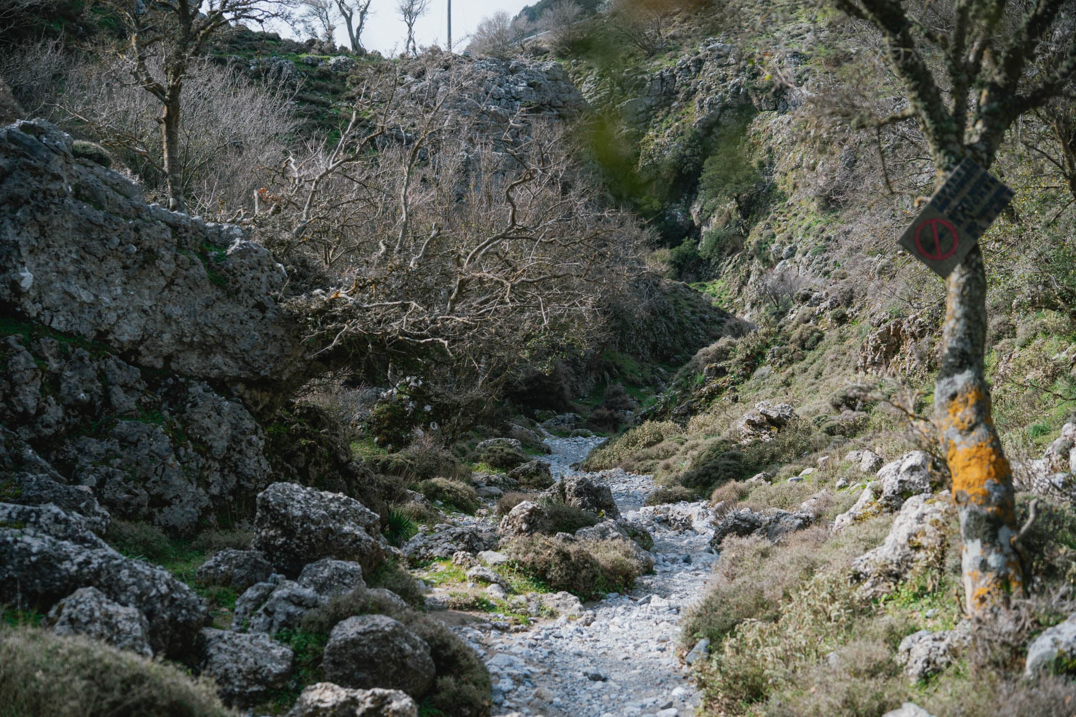 Alt text not provided