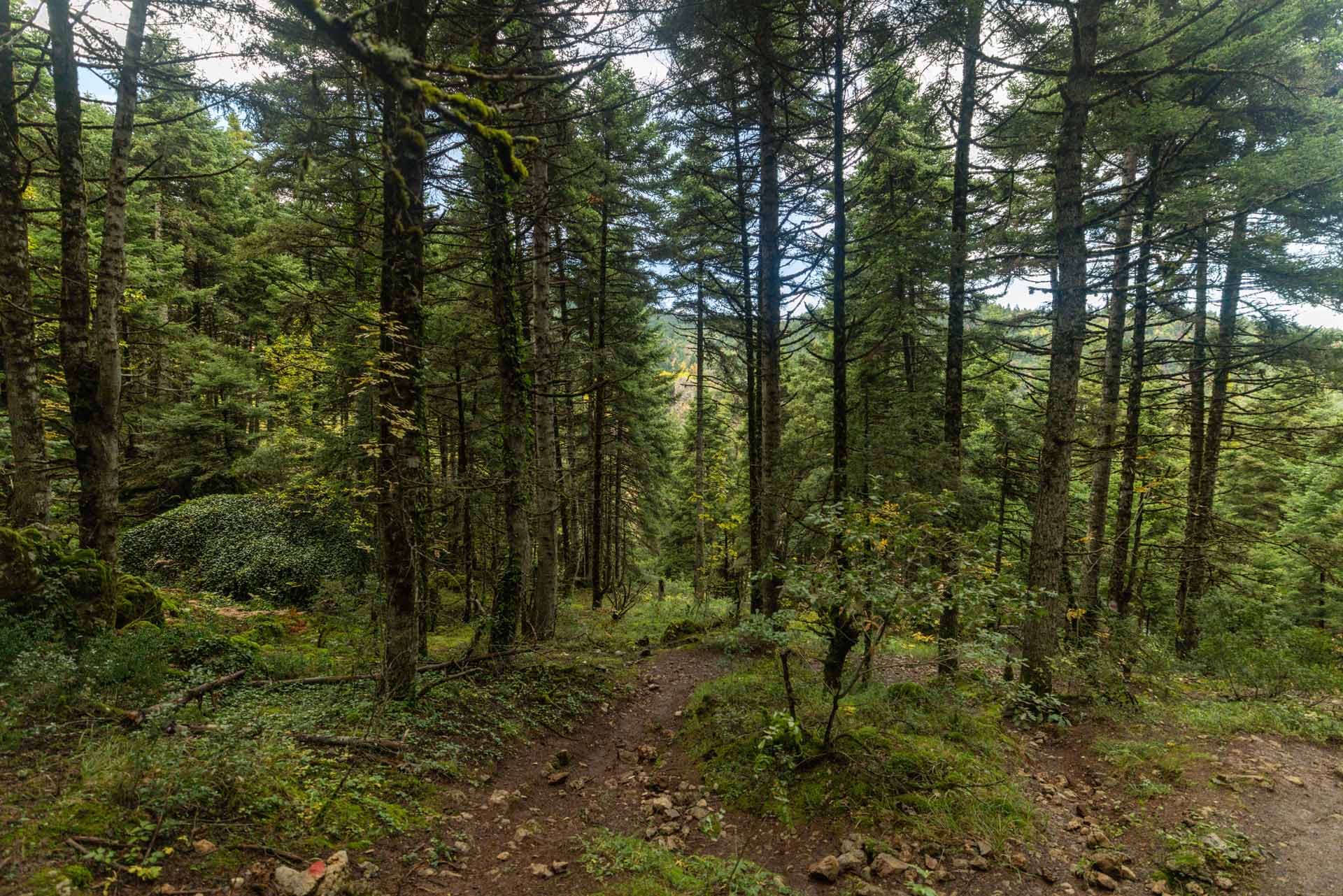Iti National Park