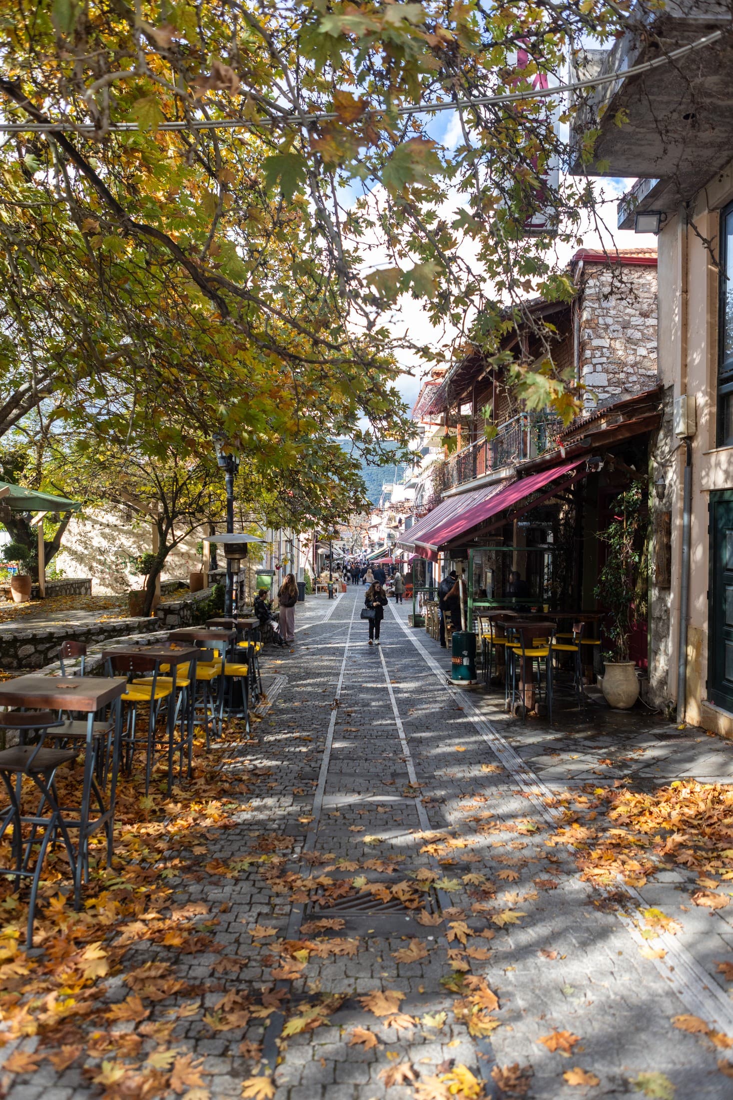 Alt text not provided