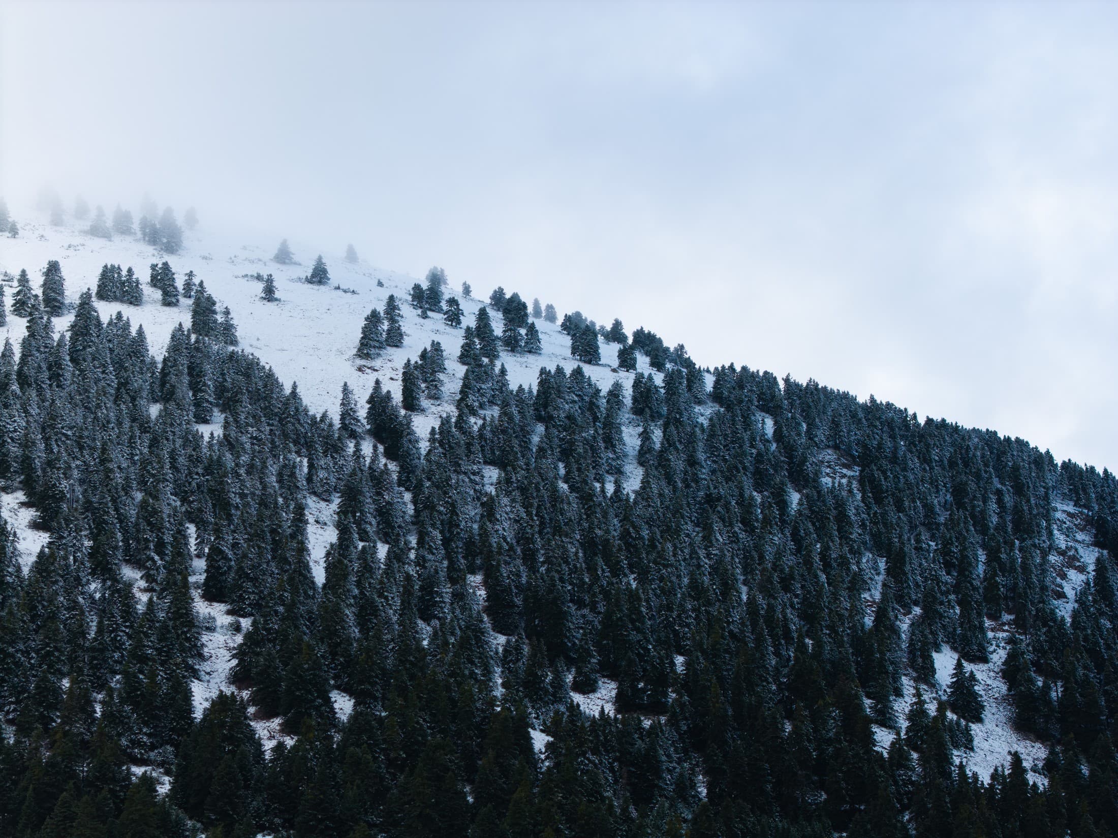 Alt text not provided