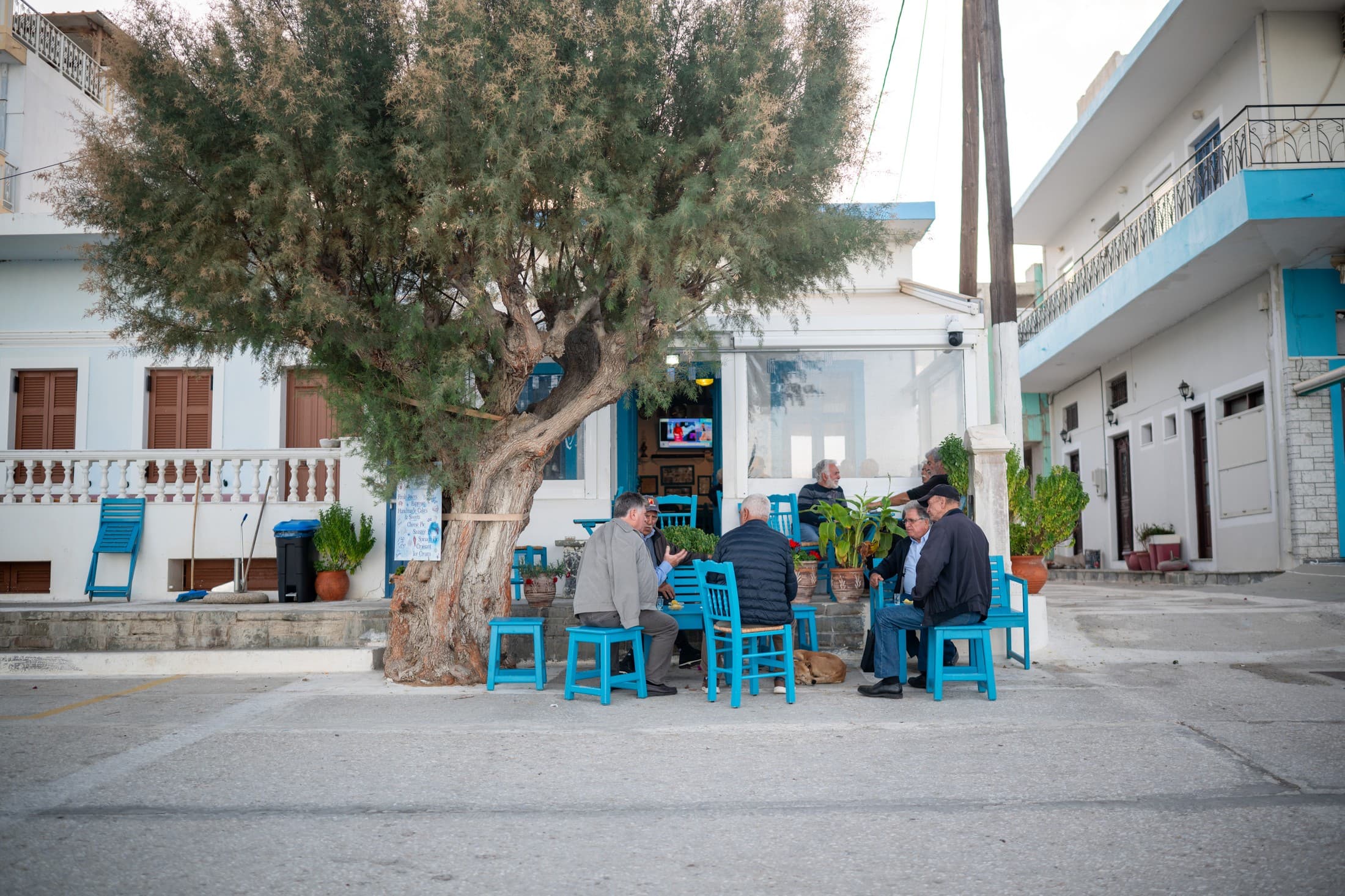 Alt text not provided