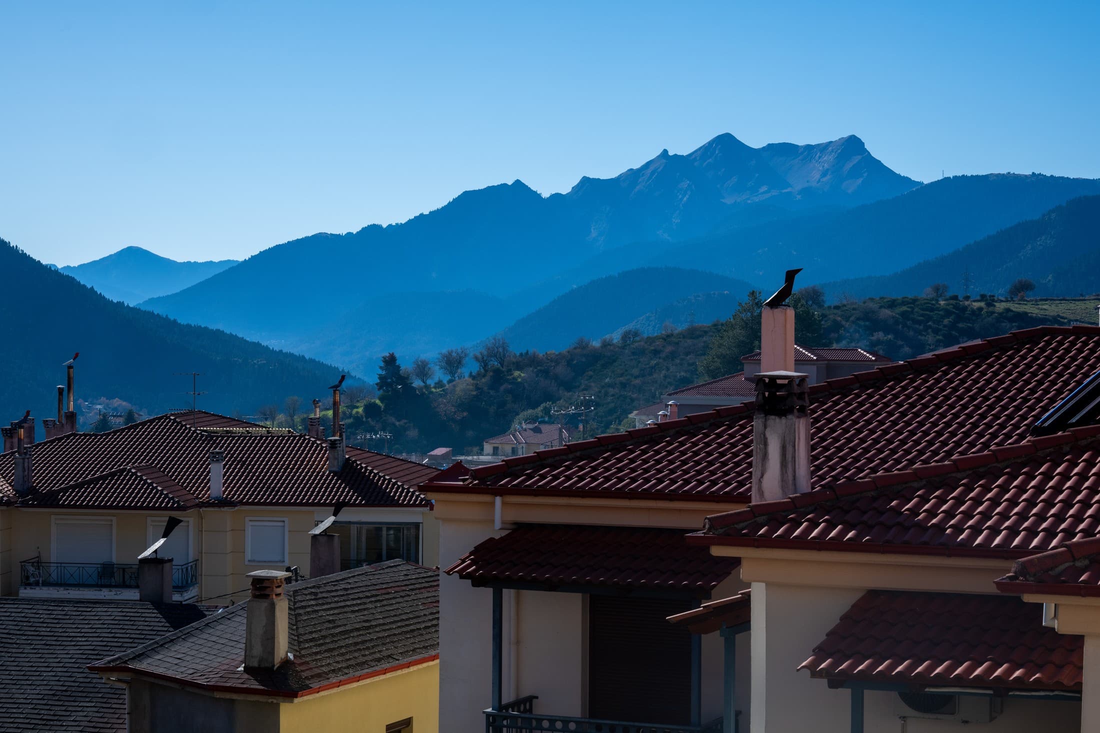 Alt text not provided