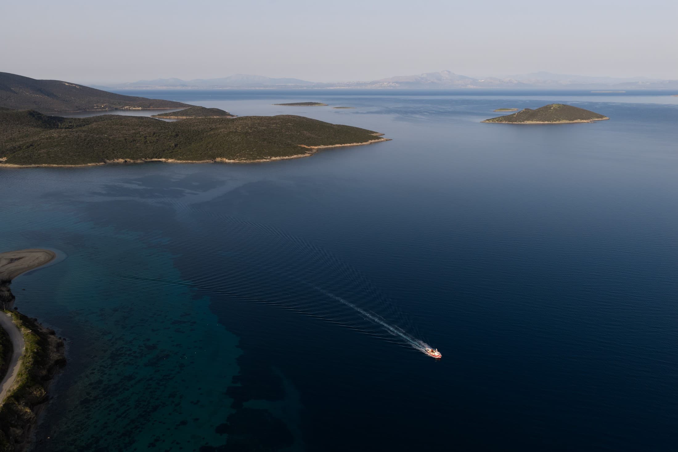 Alt text not provided