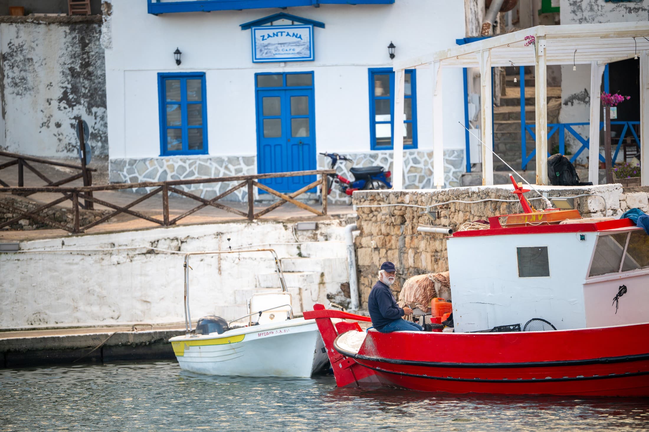 Alt text not provided