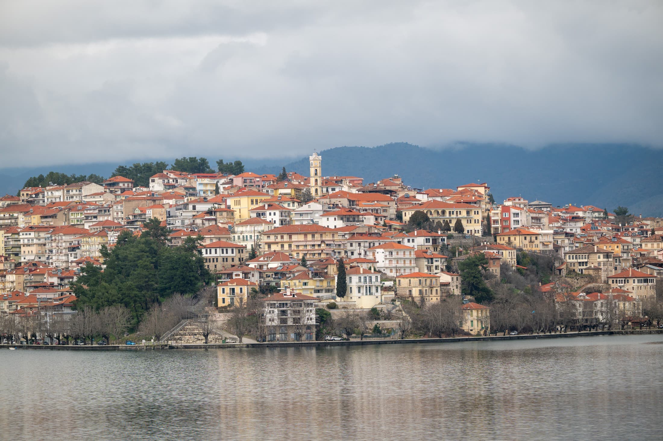 Alt text not provided