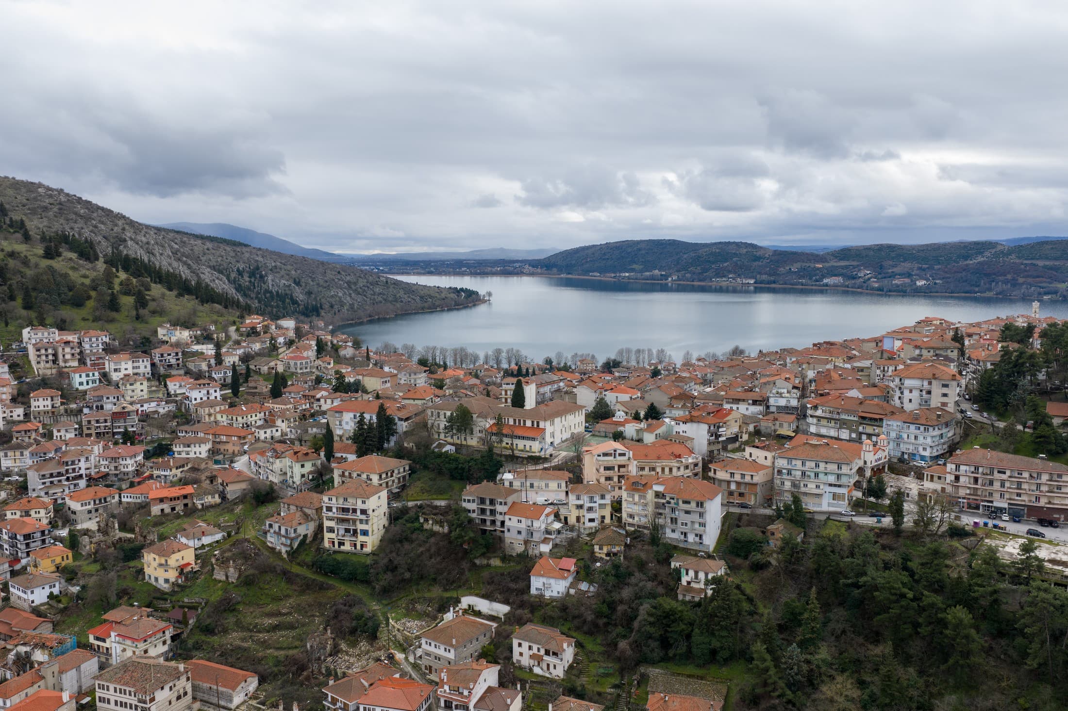 Alt text not provided