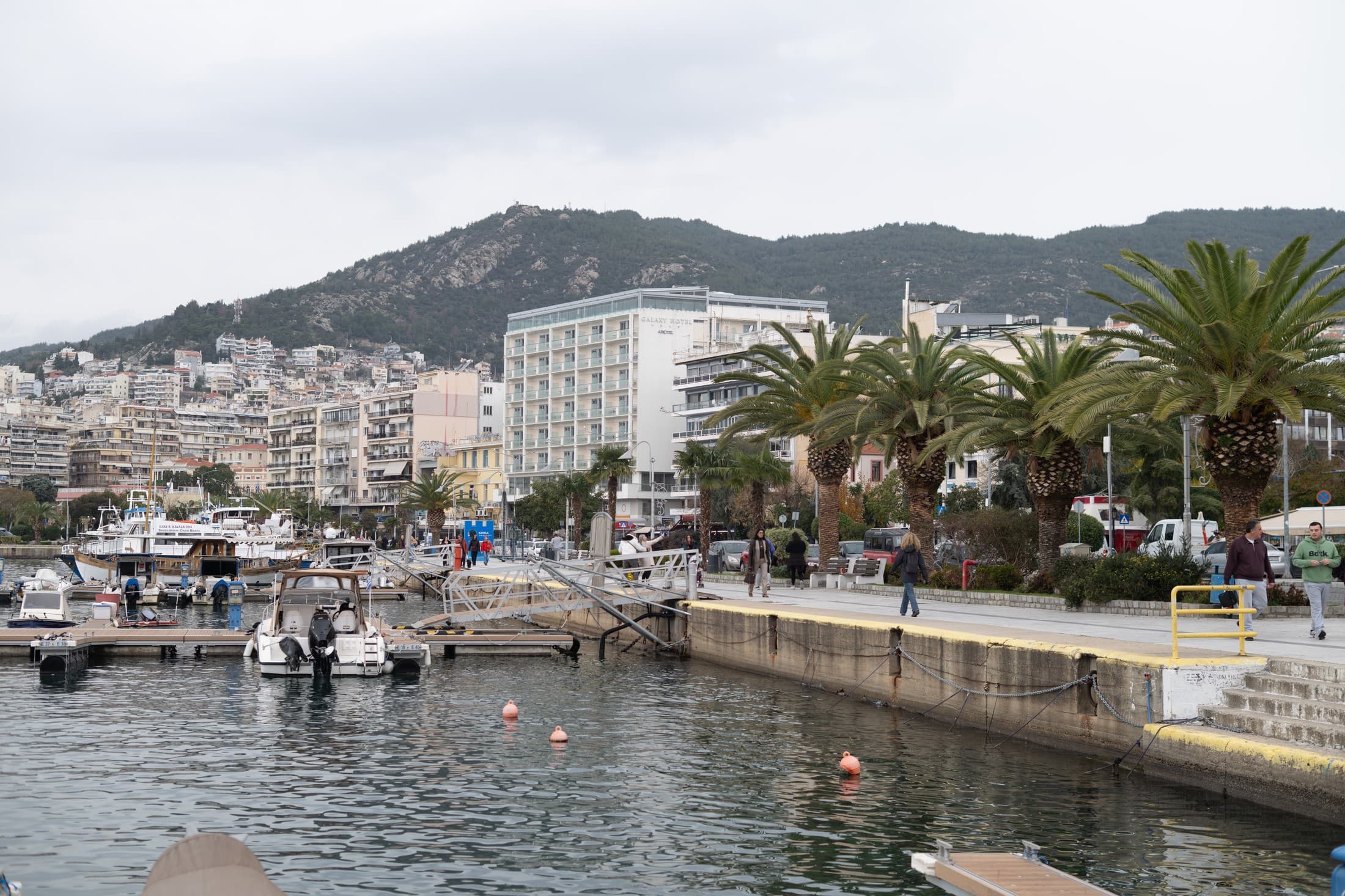 Alt text not provided