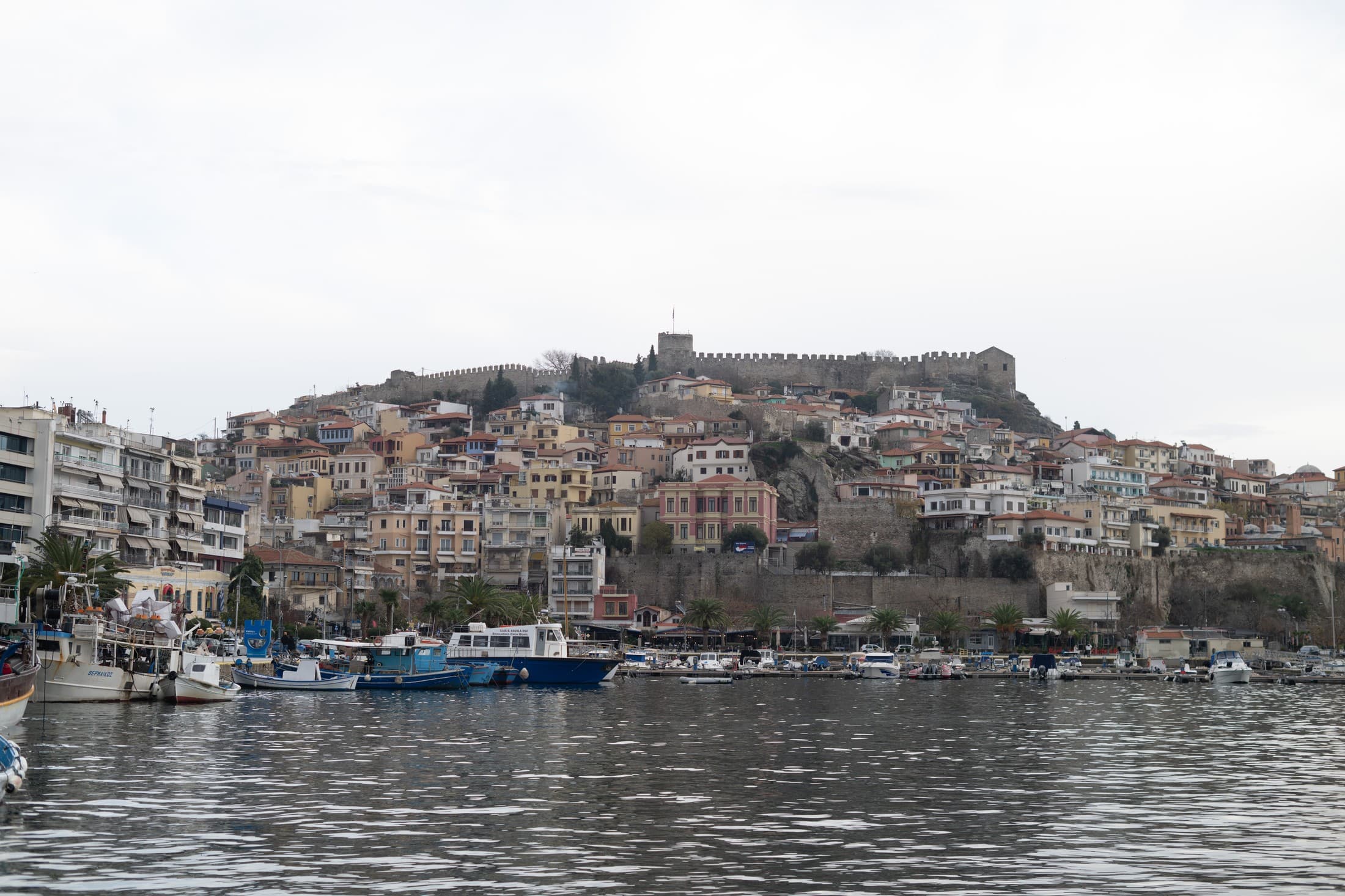 Alt text not provided