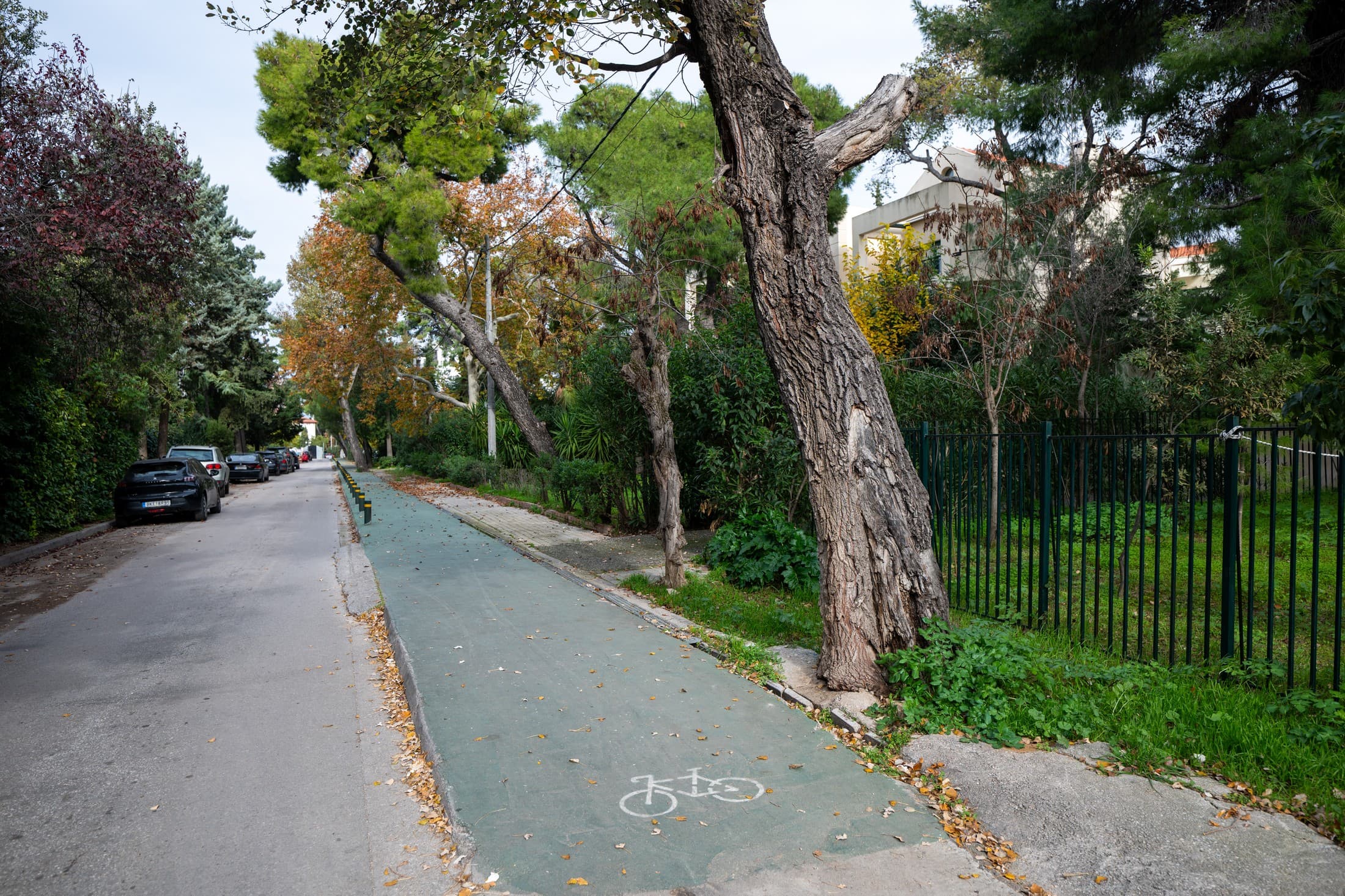 Alt text not provided