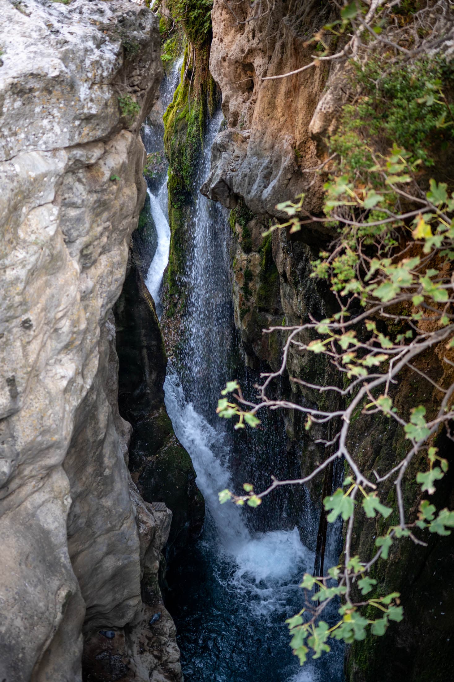 Alt text not provided