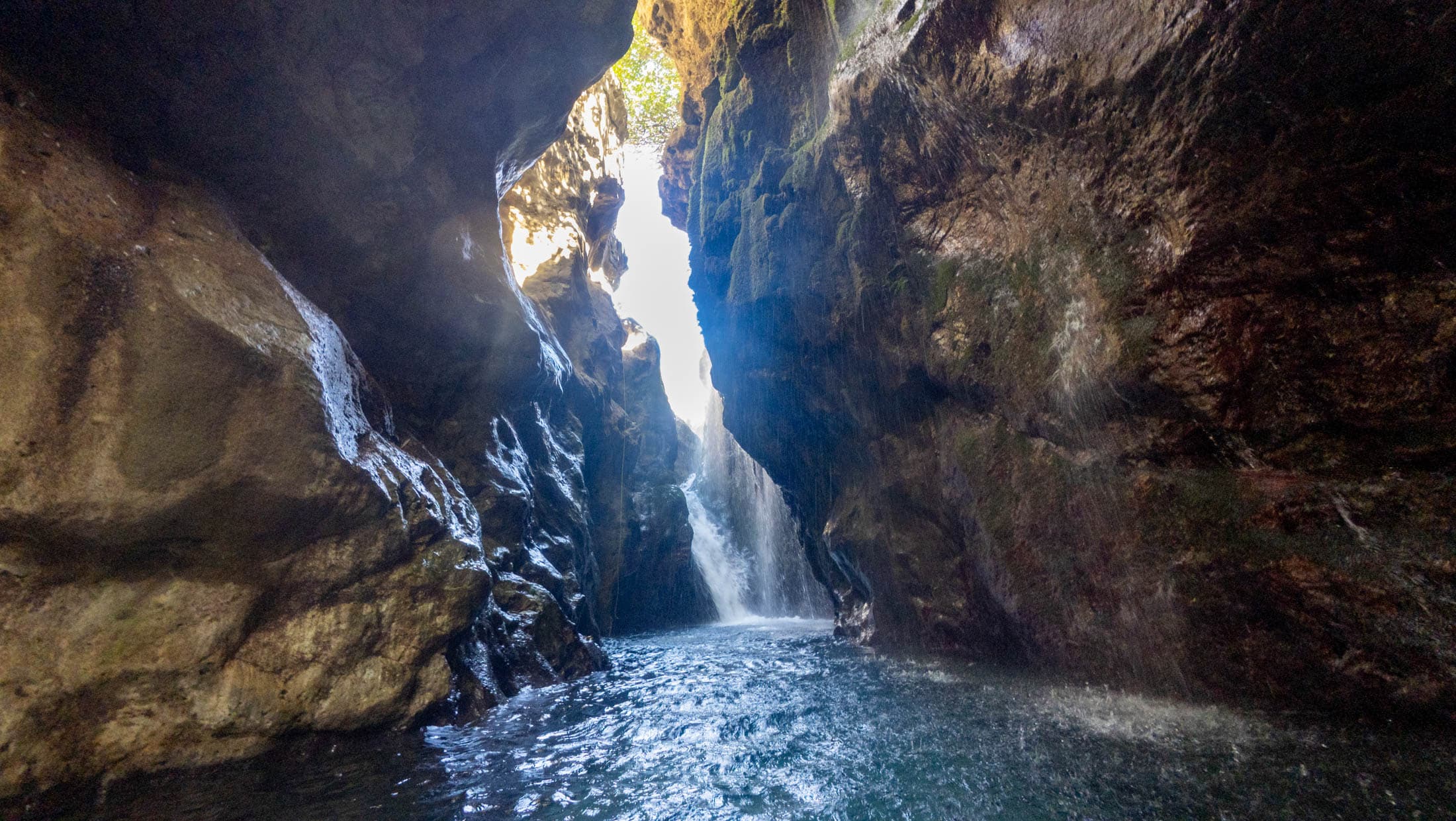 Alt text not provided