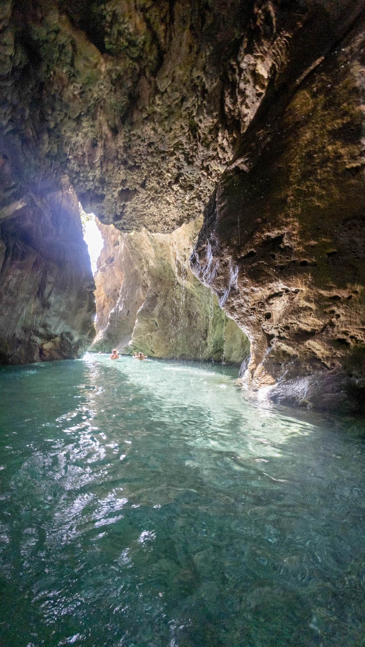 Alt text not provided