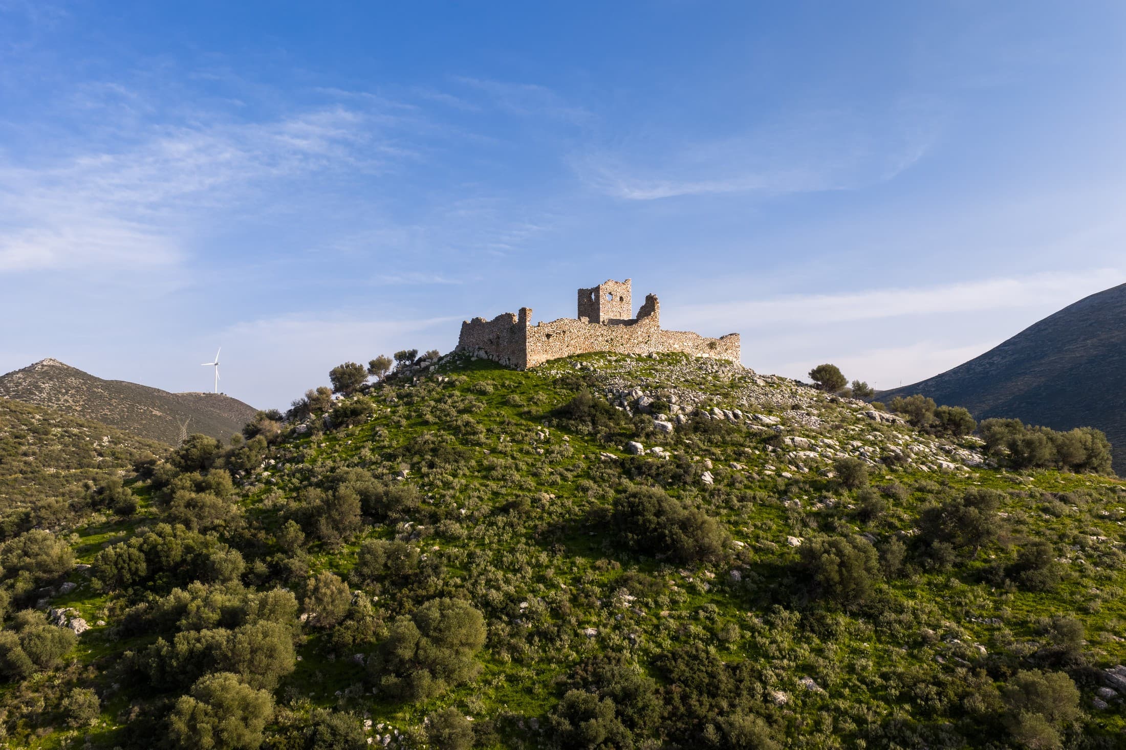 Alt text not provided