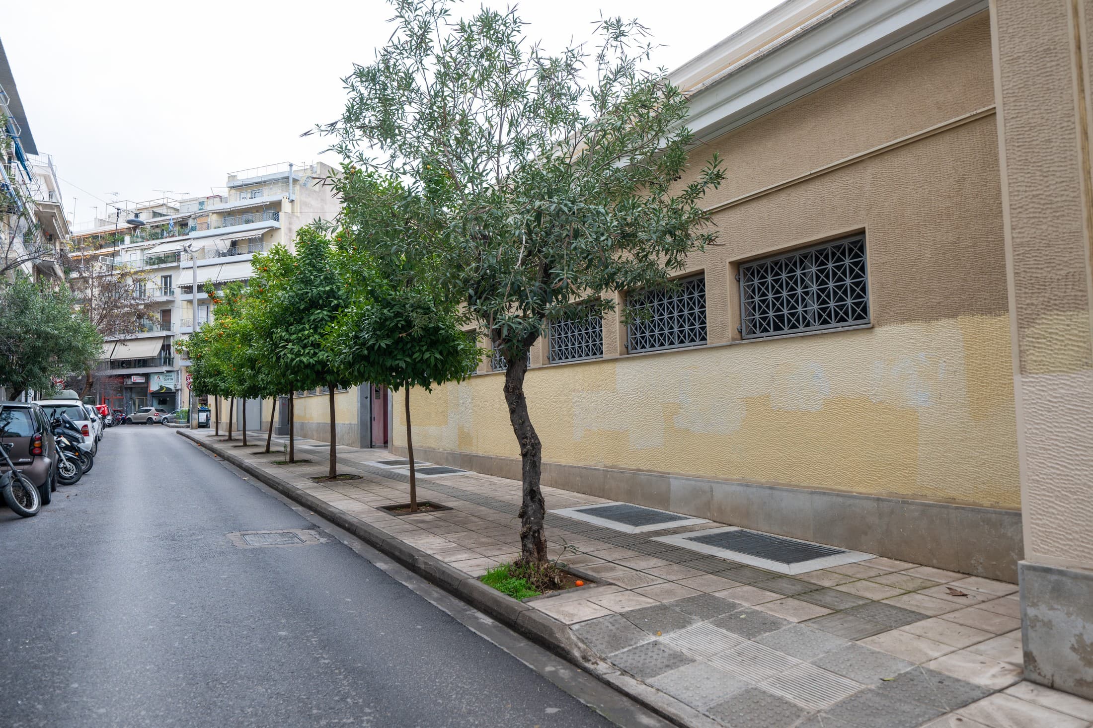 Alt text not provided