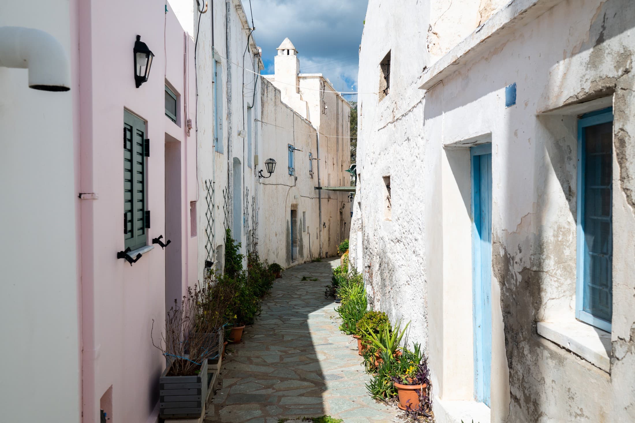 Alt text not provided