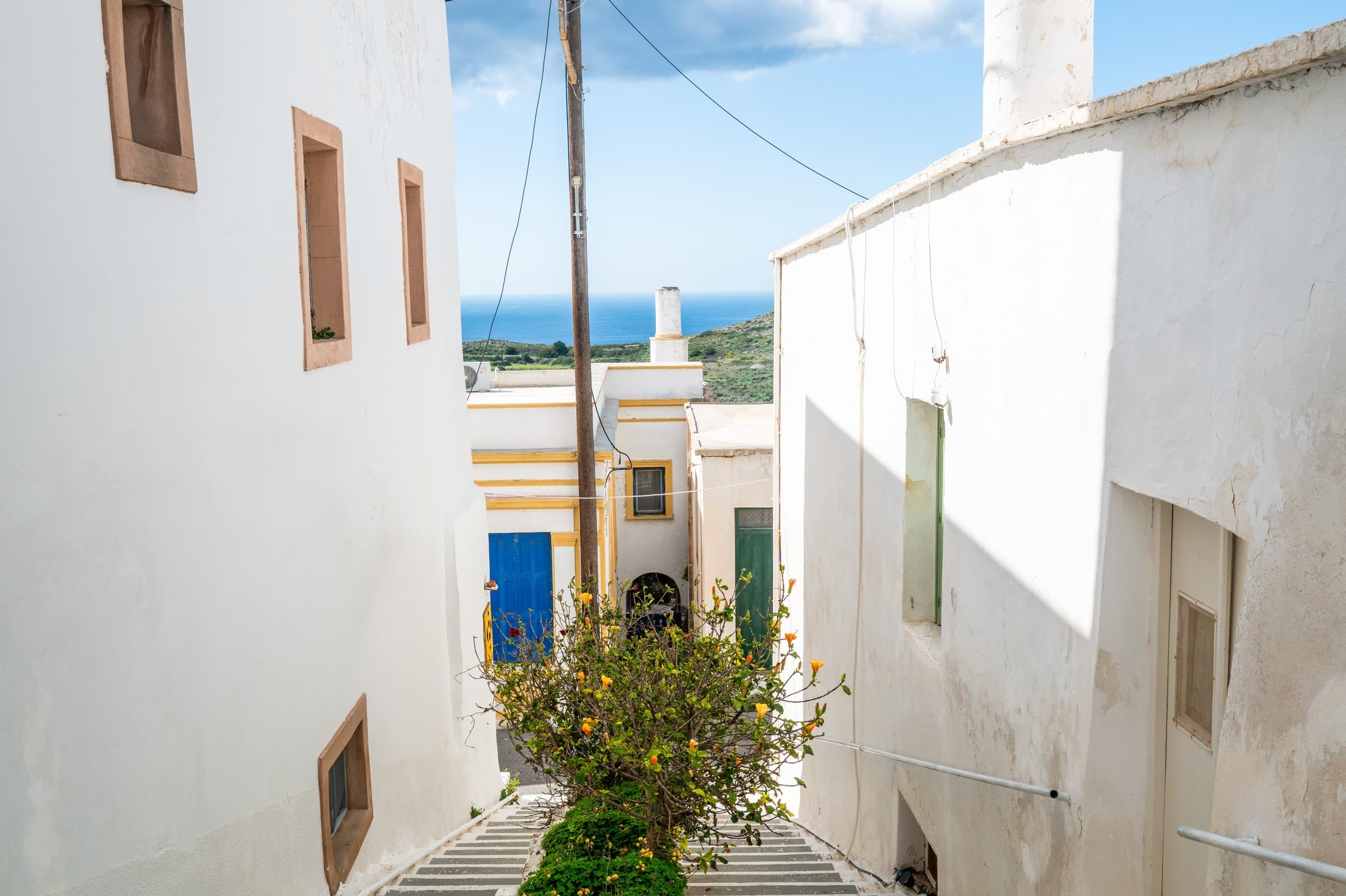 Alt text not provided