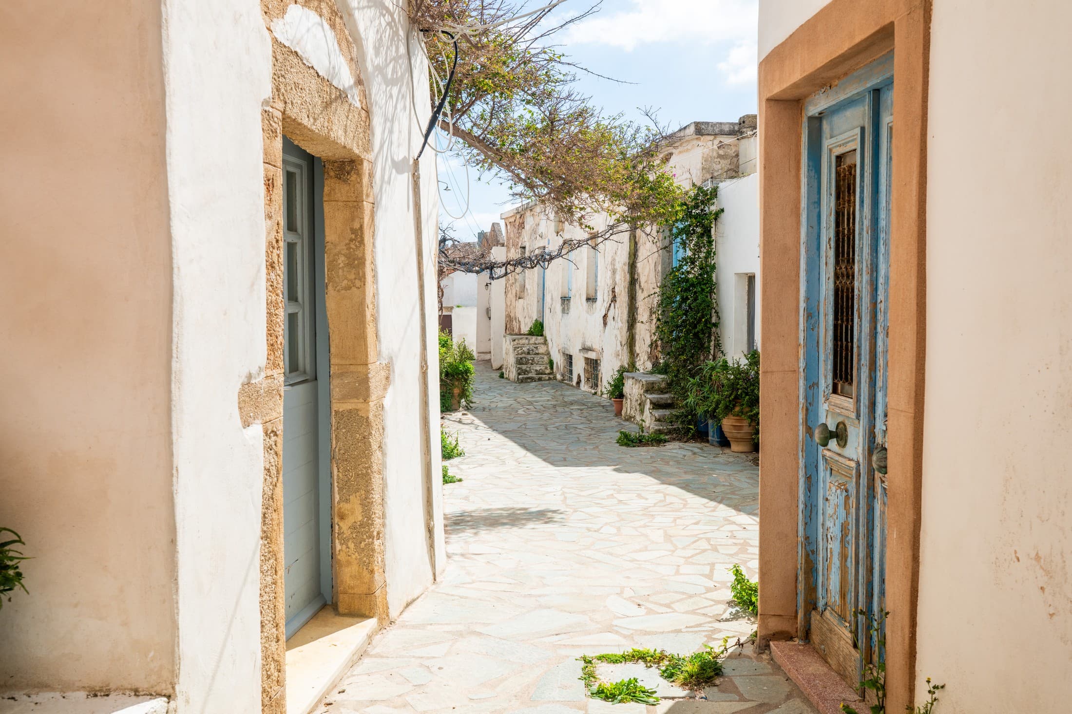 Alt text not provided