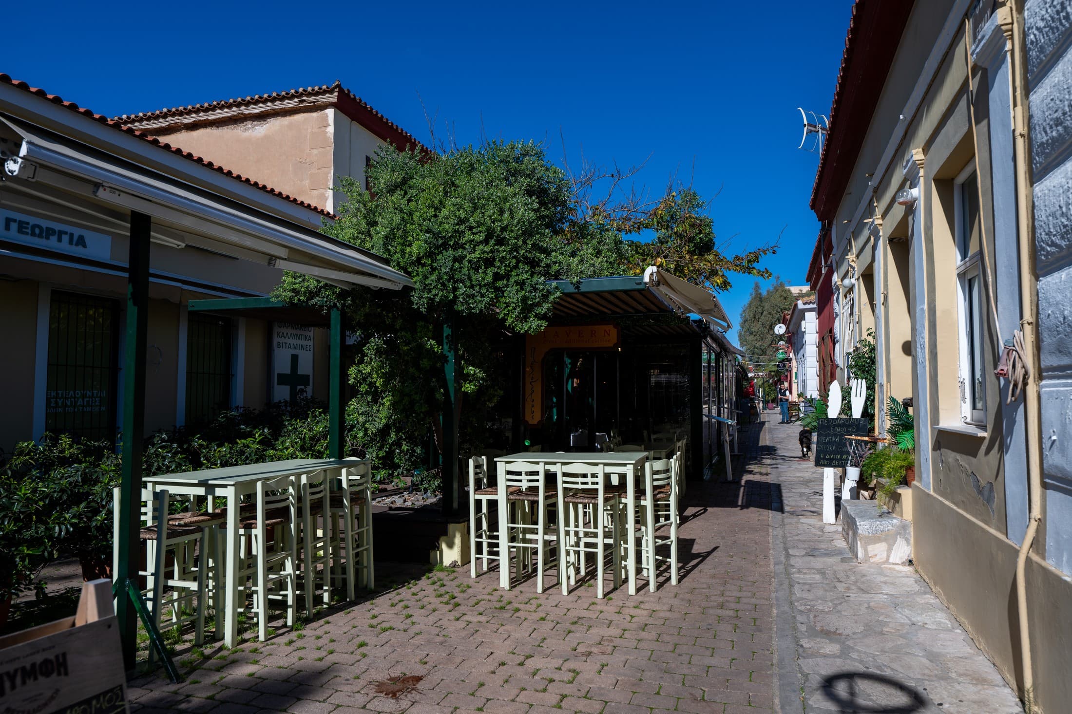 Alt text not provided