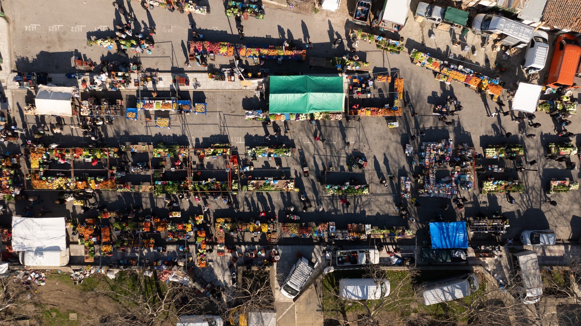 Alt text not provided