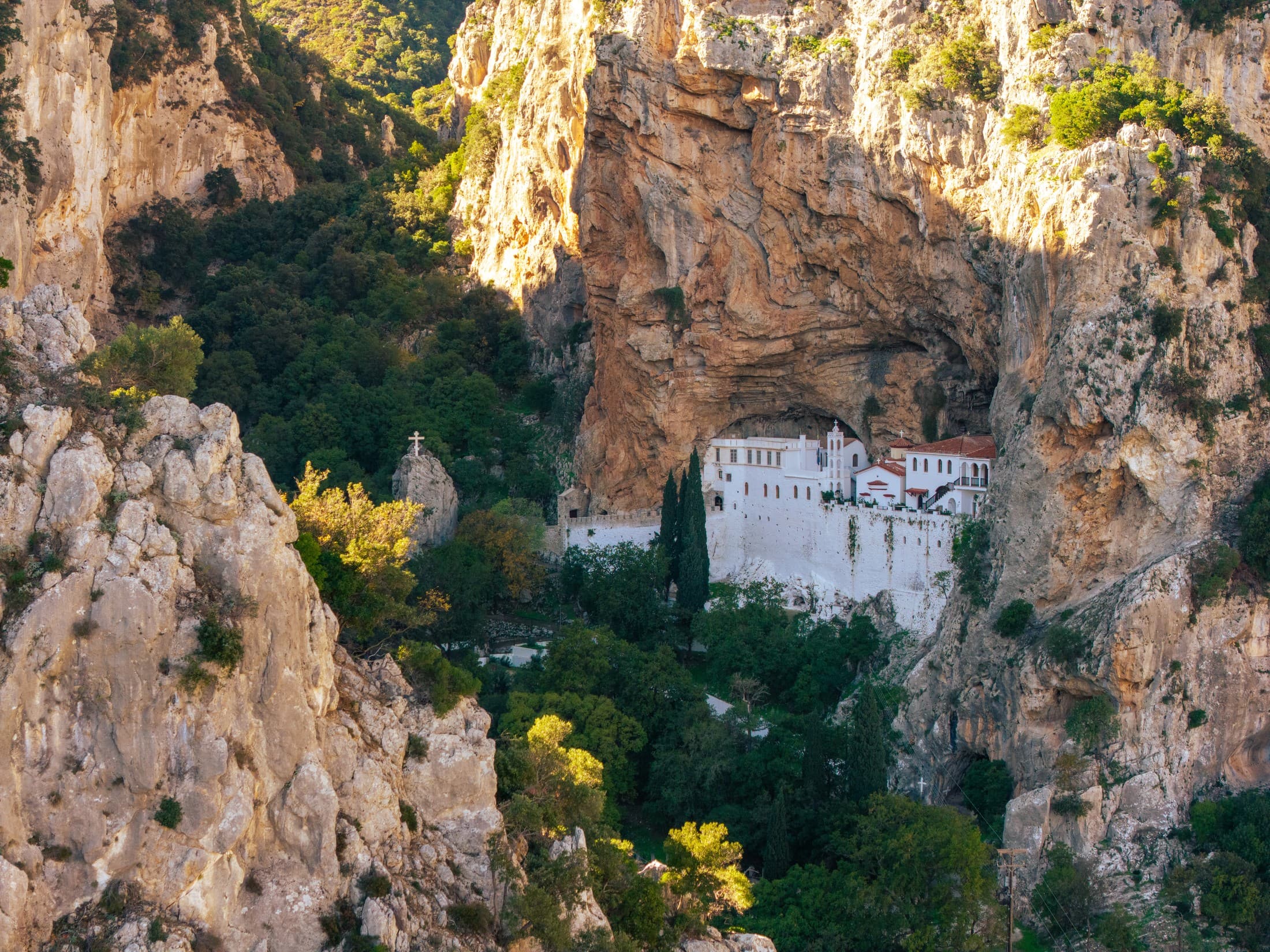 Alt text not provided