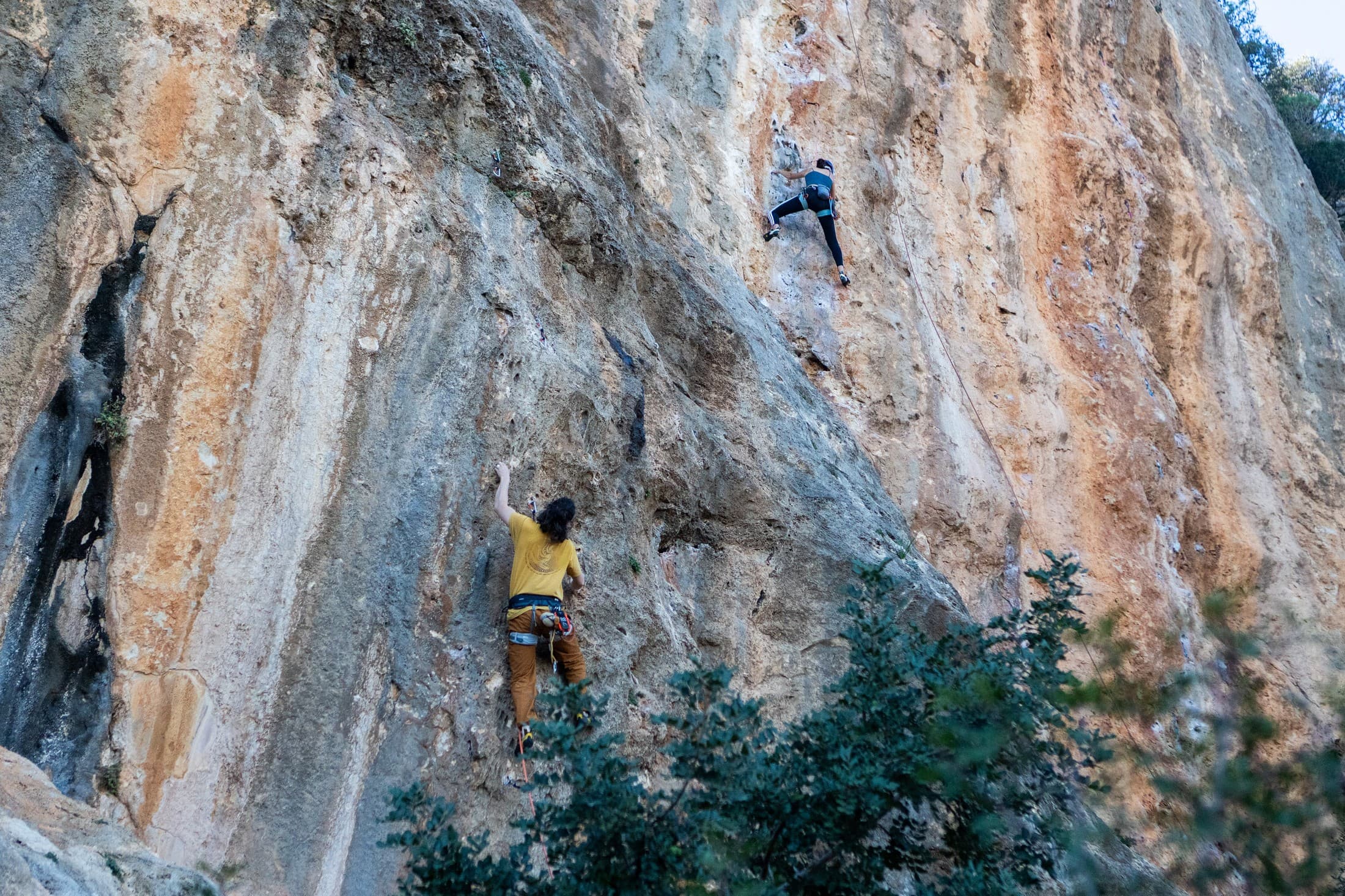 Alt text not provided