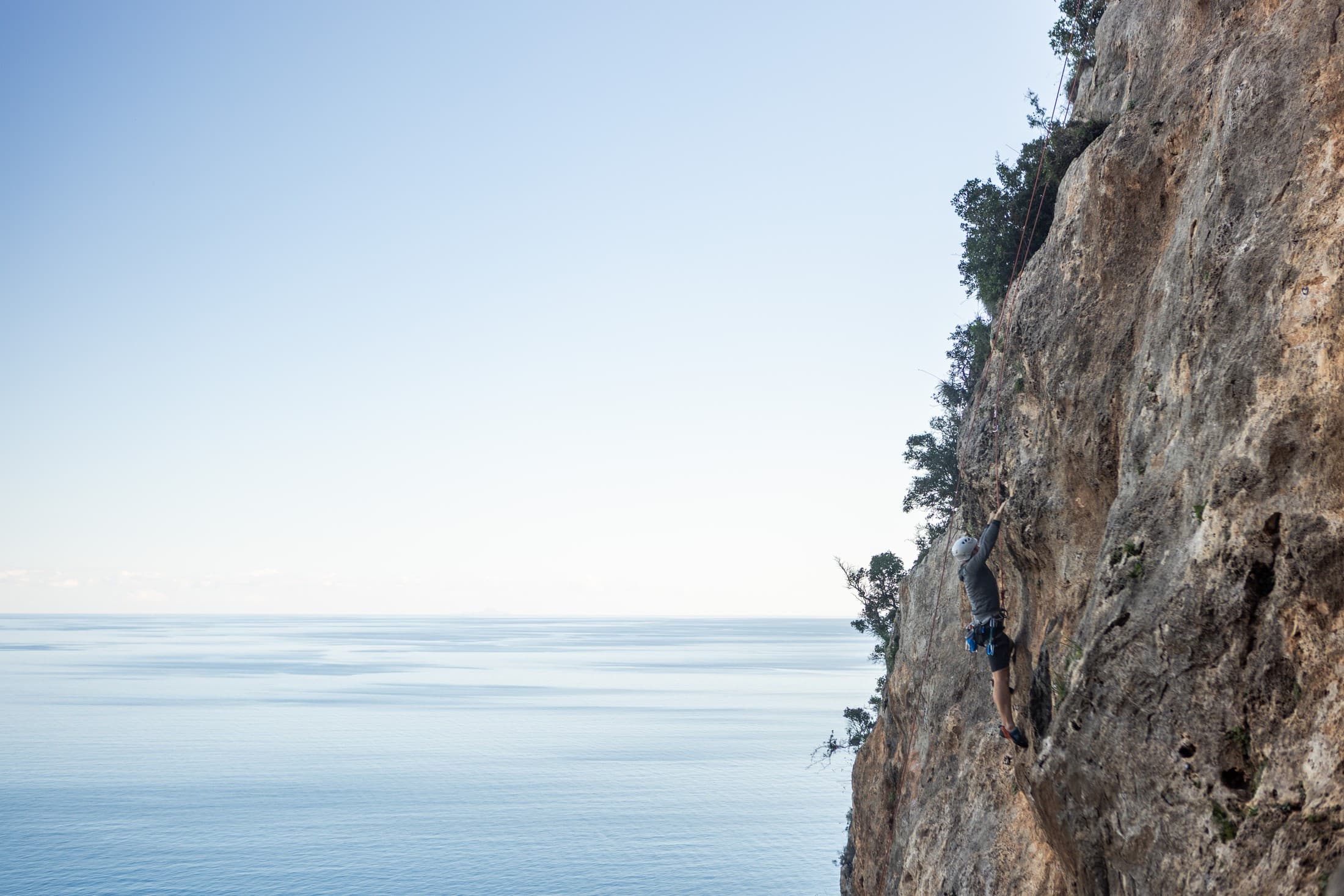 Alt text not provided