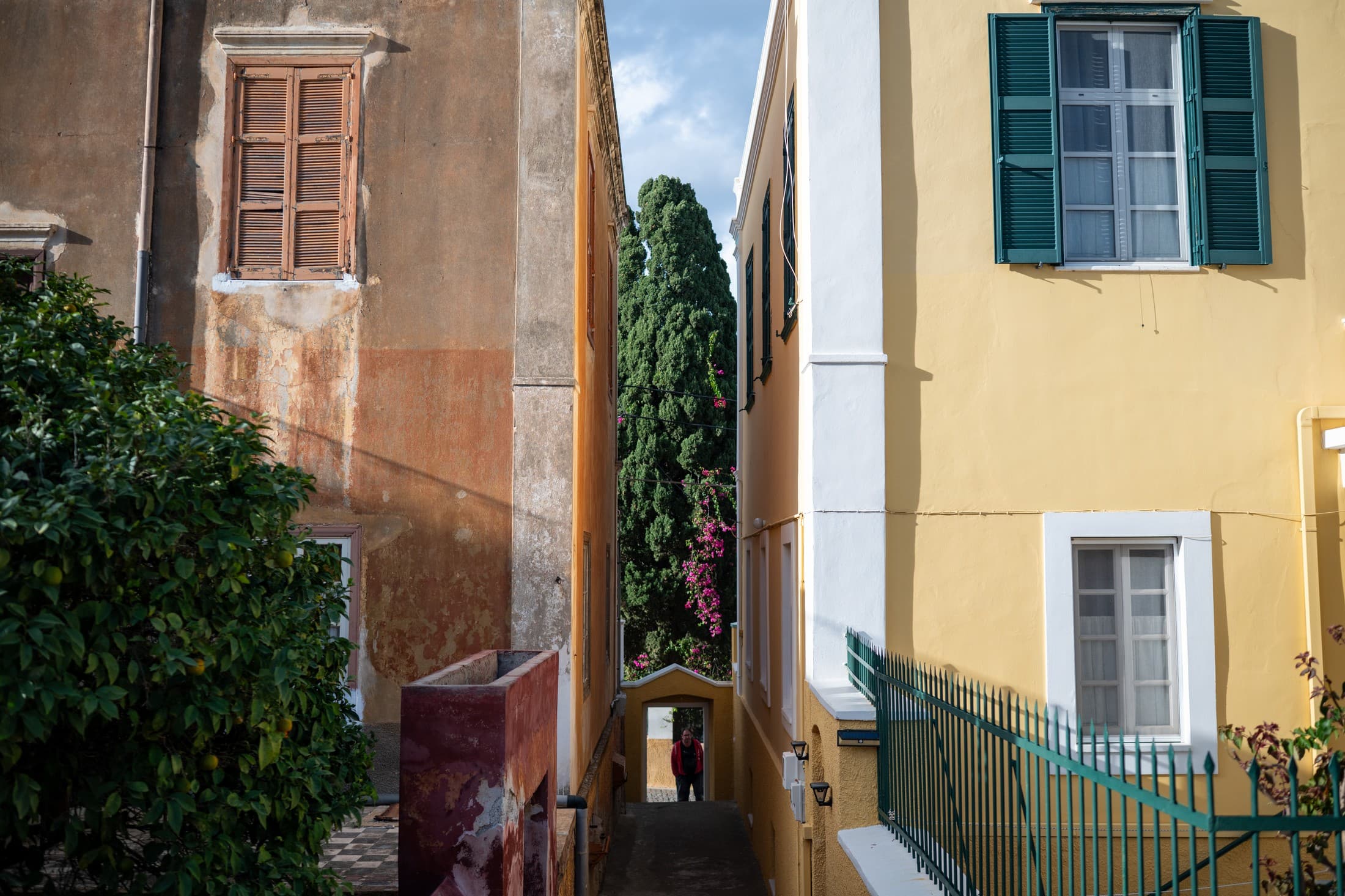 Alt text not provided