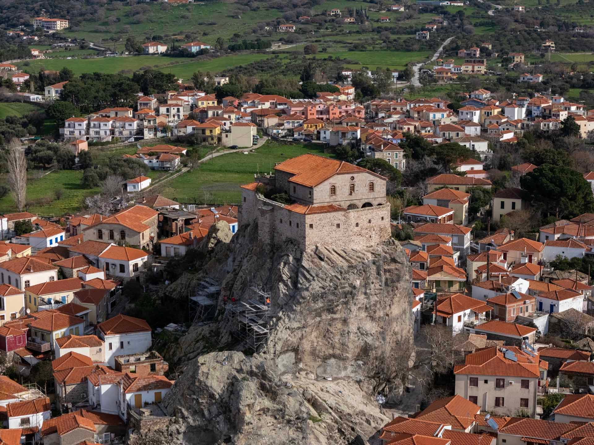 Alt text not provided