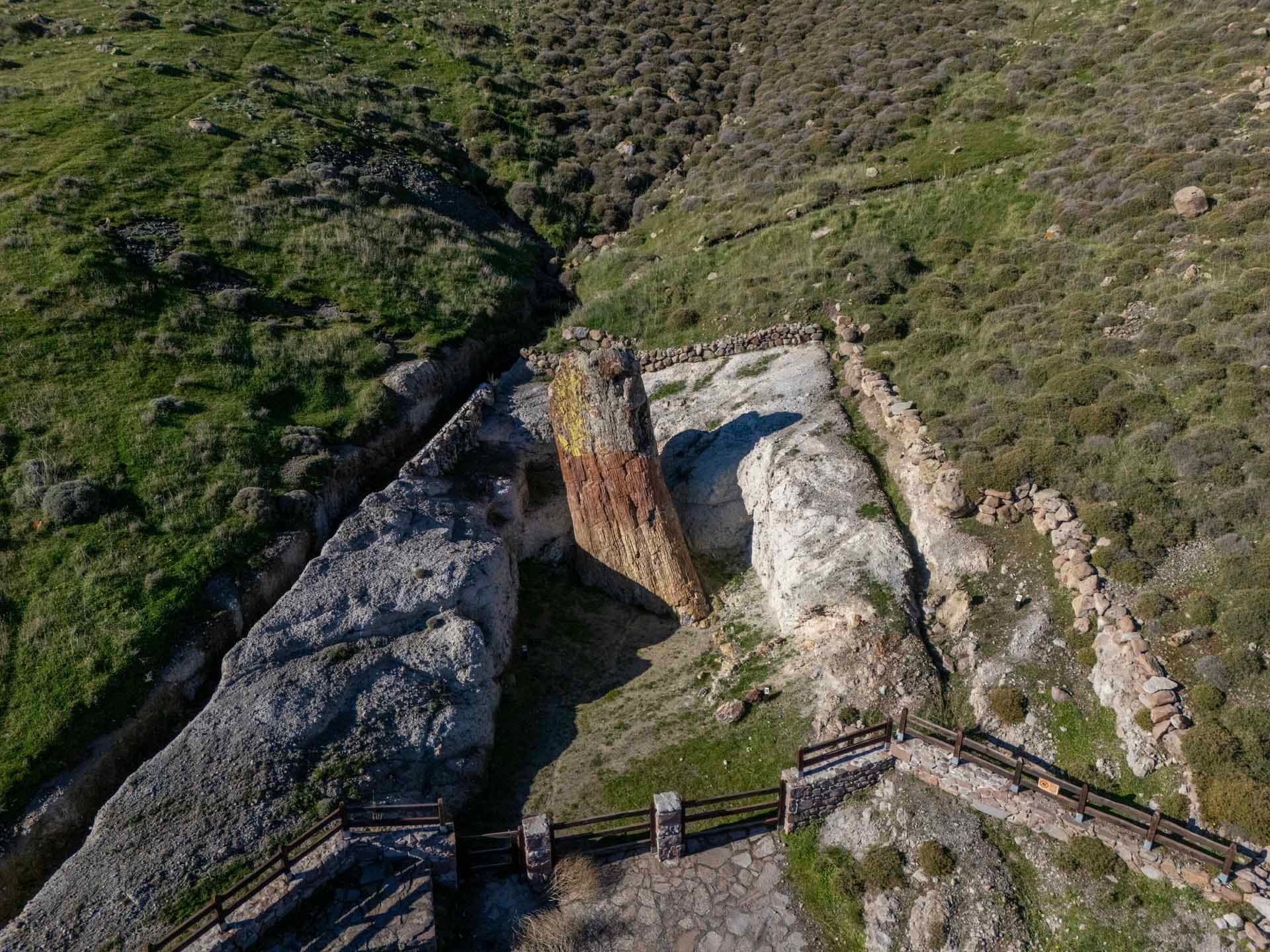 Alt text not provided