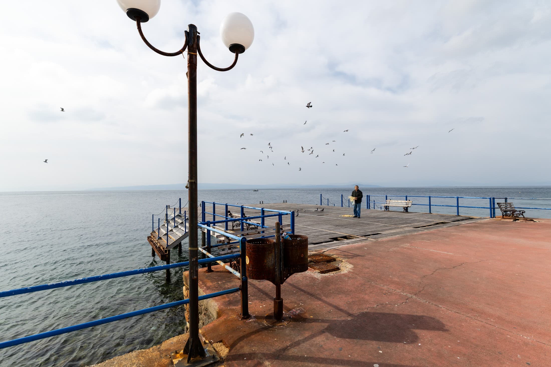 Alt text not provided