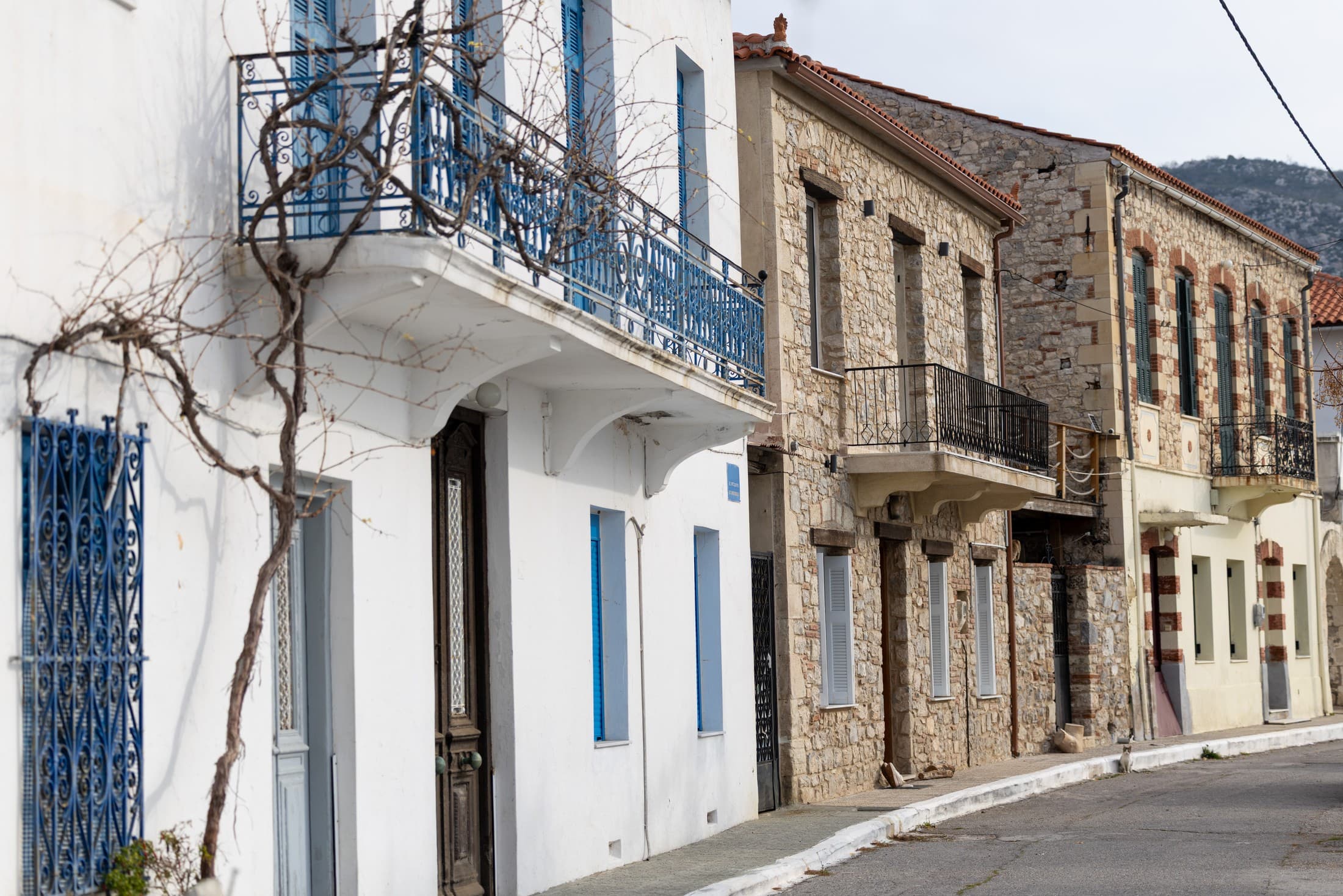 Alt text not provided