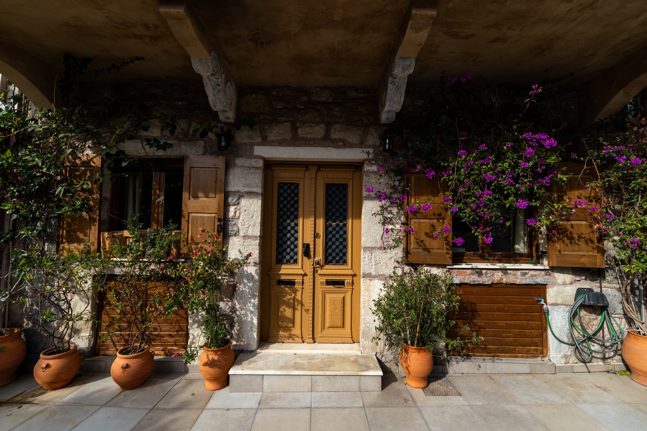 Alt text not provided