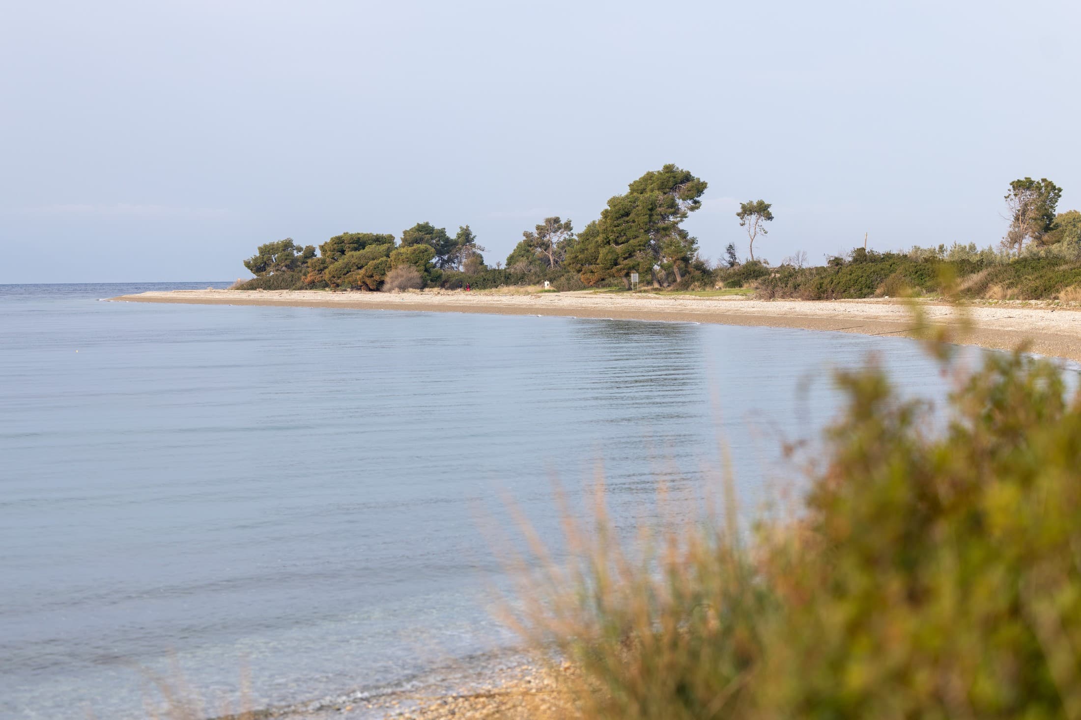 Alt text not provided