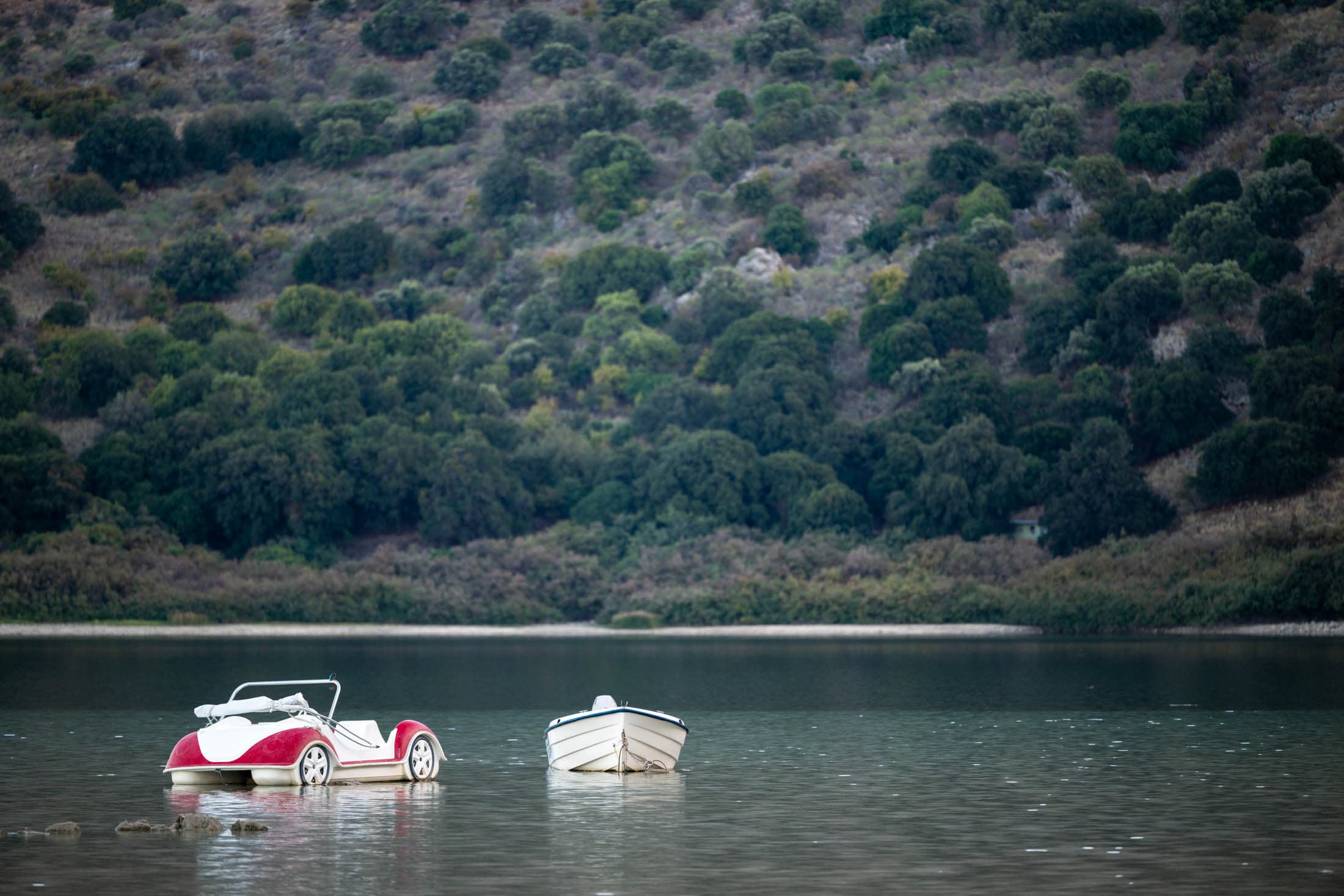 Alt text not provided