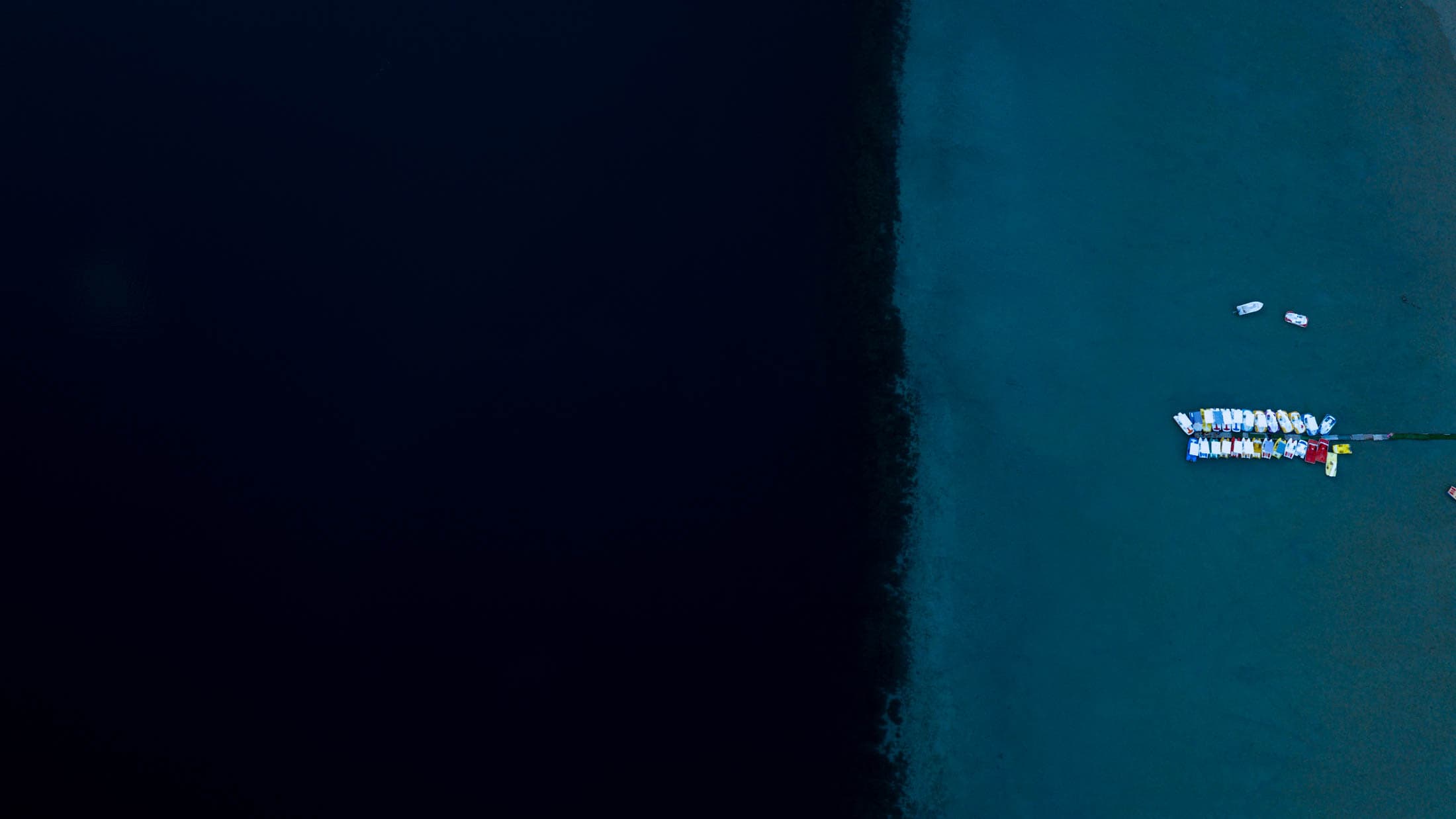 Alt text not provided