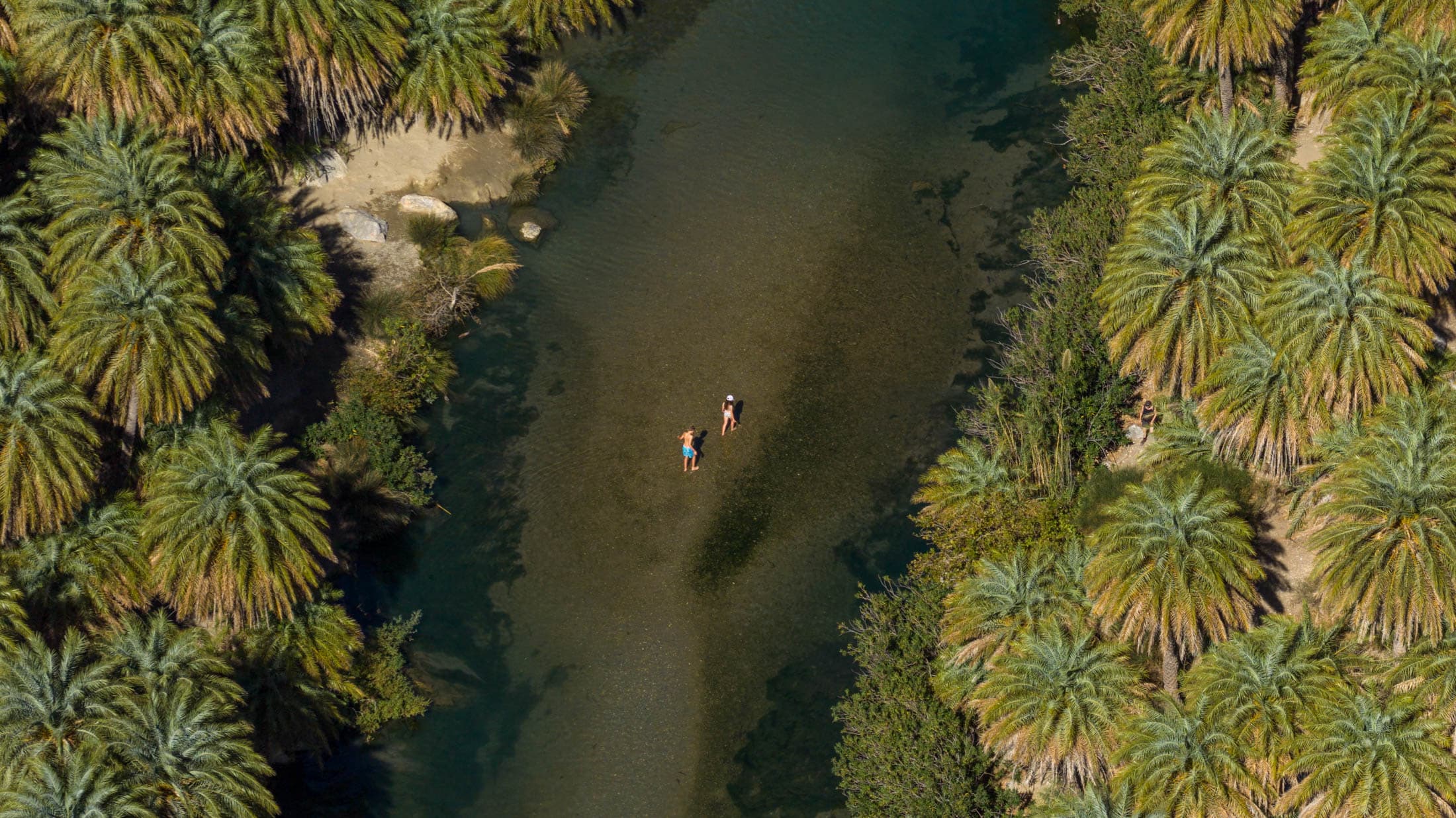 Alt text not provided