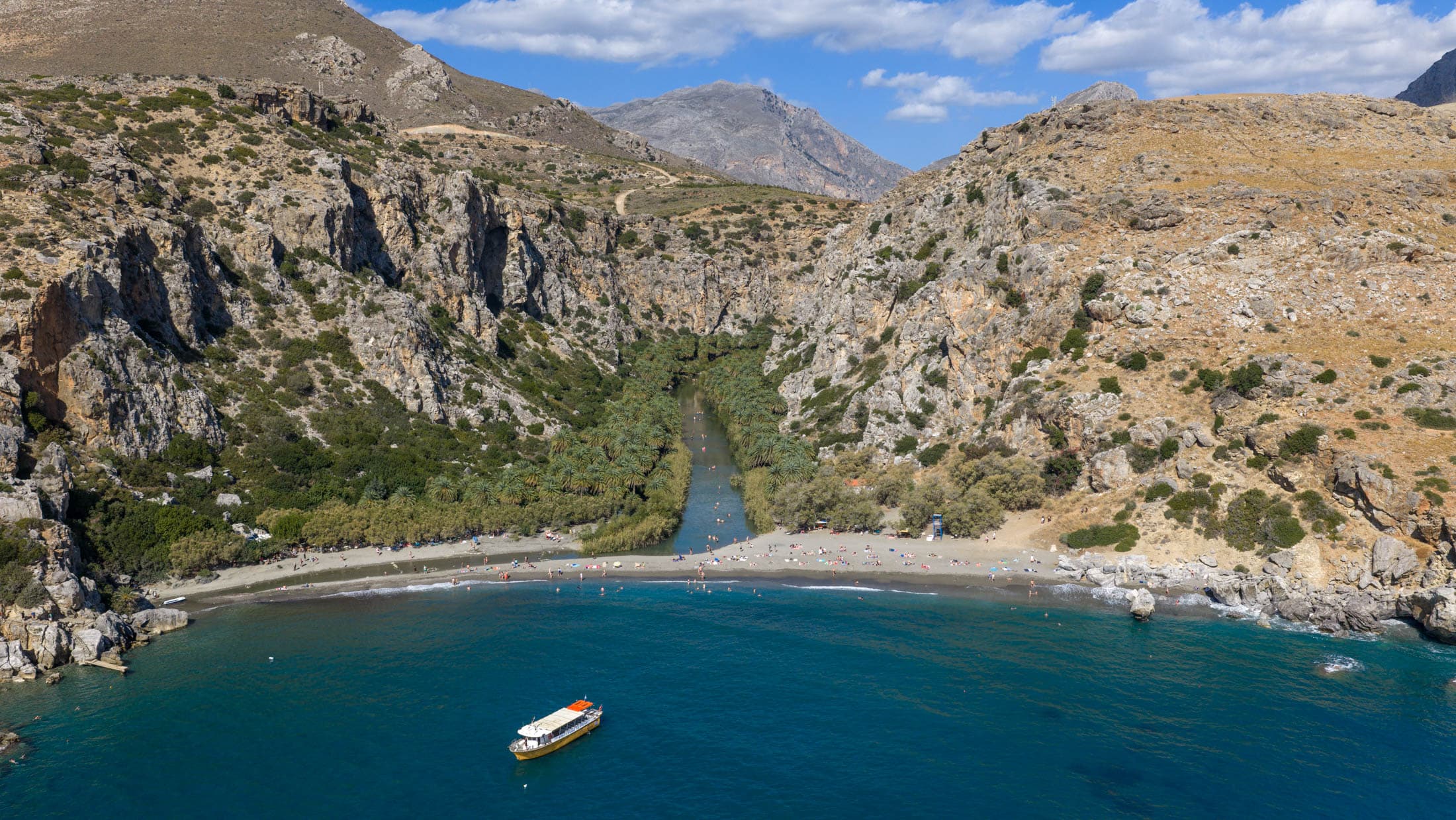 Alt text not provided