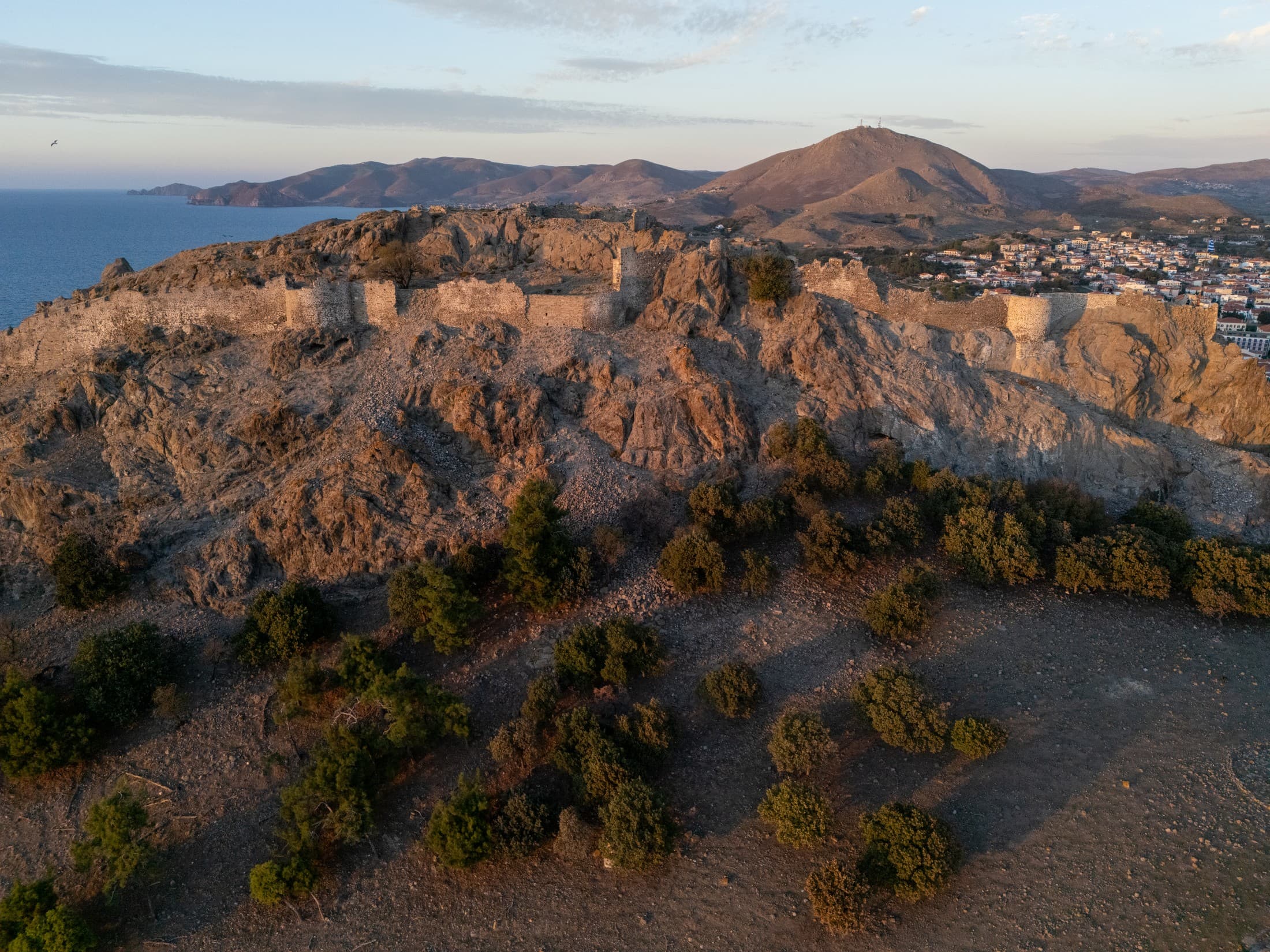 Alt text not provided