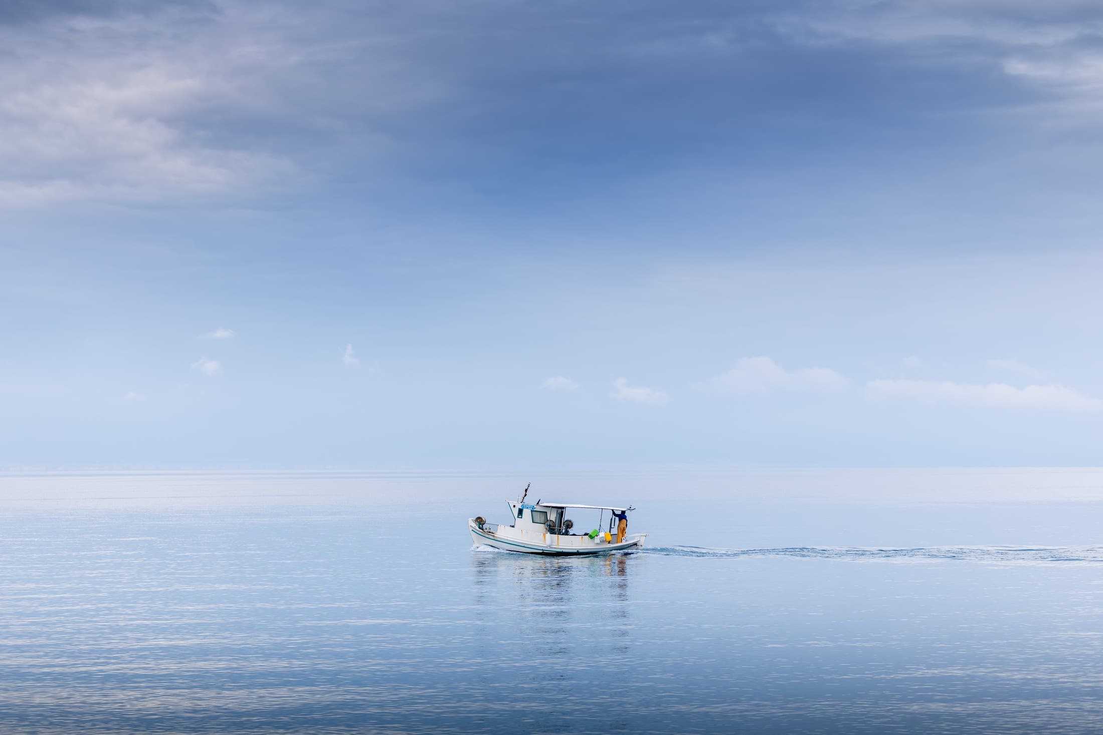 Alt text not provided