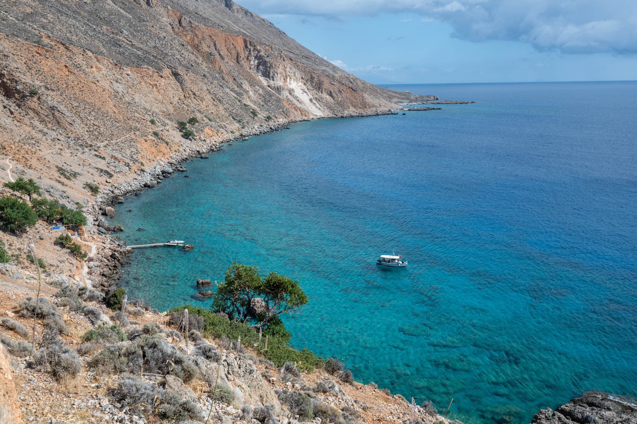 Alt text not provided