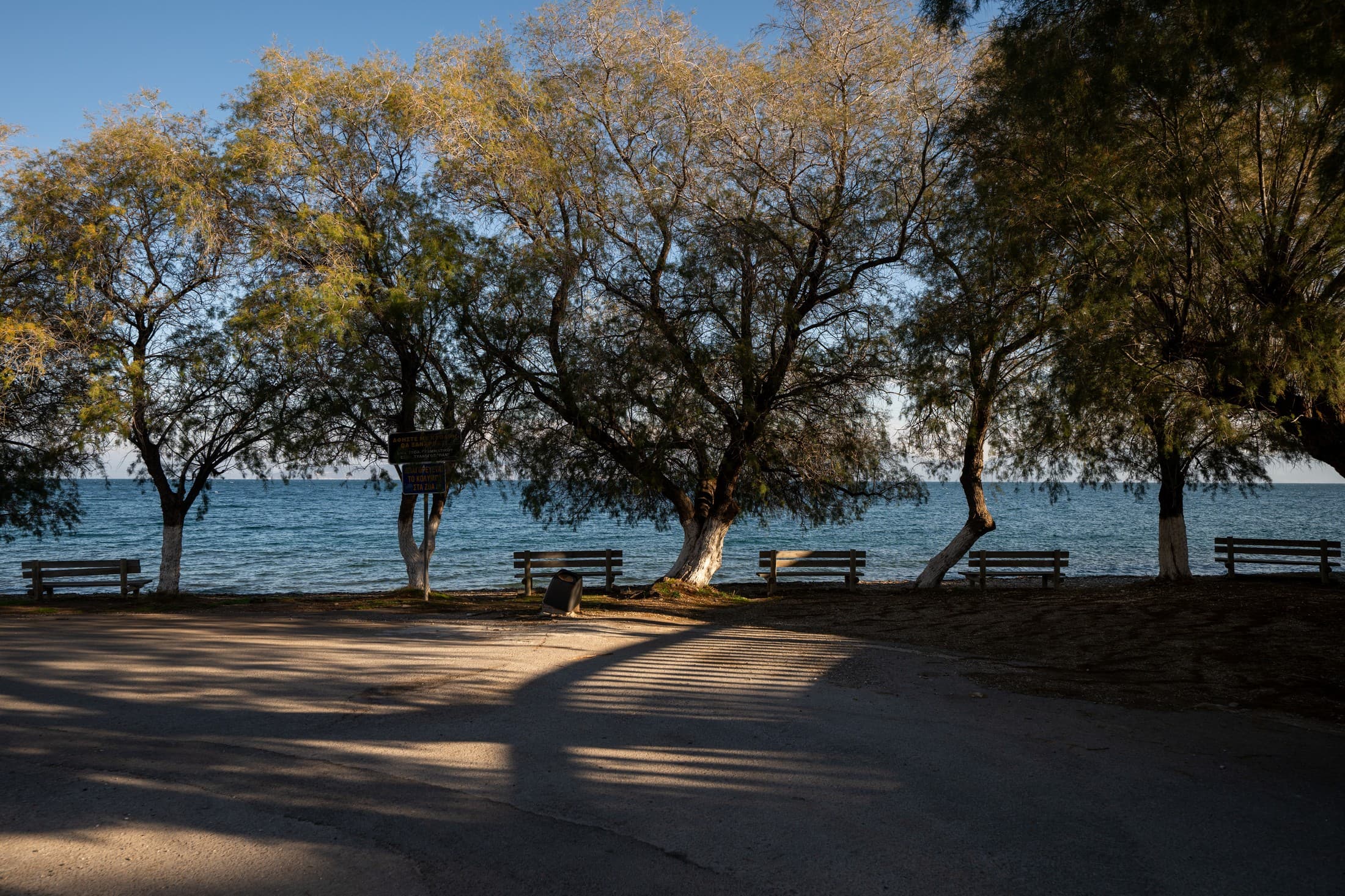 Alt text not provided