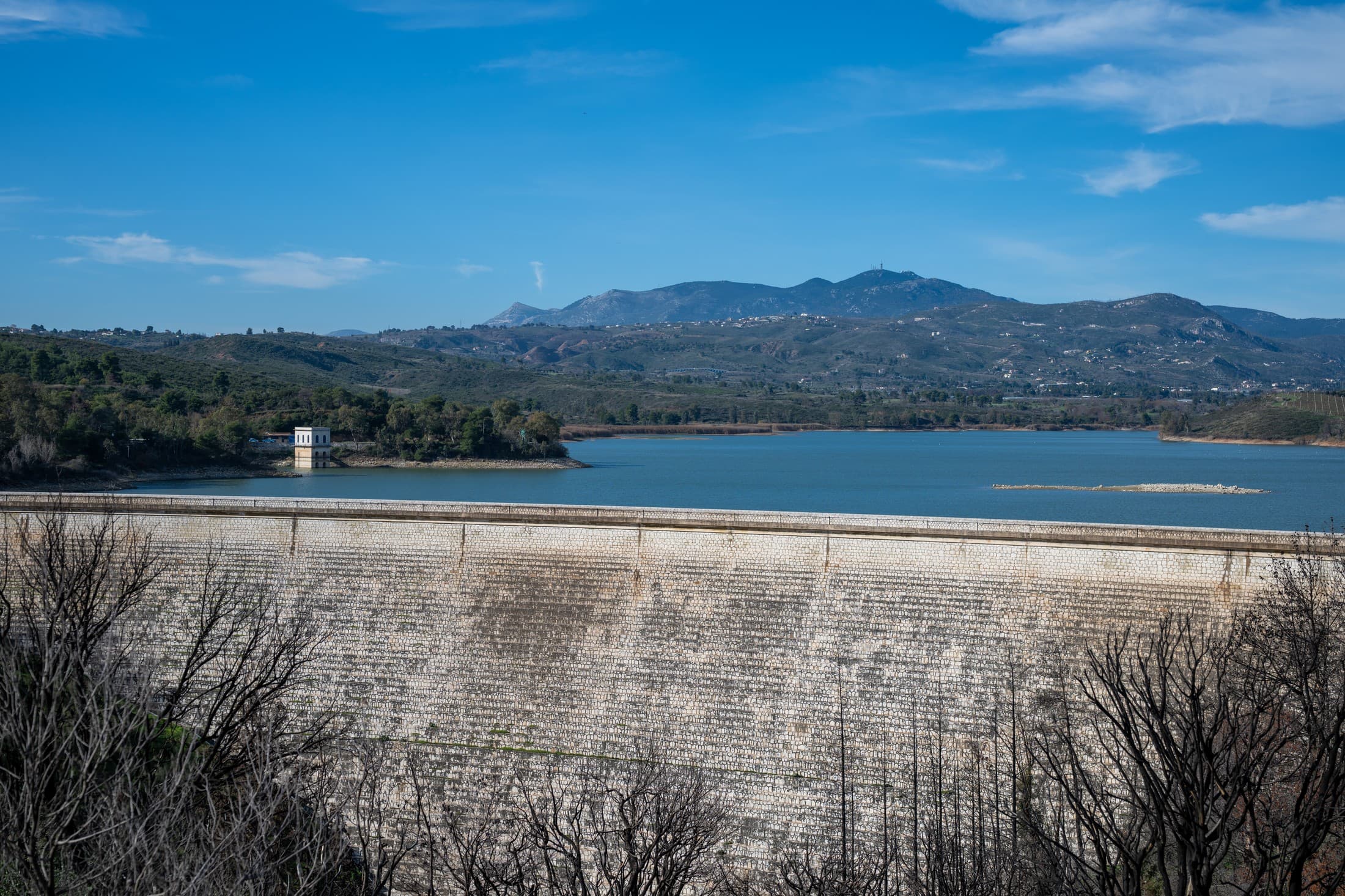 Alt text not provided