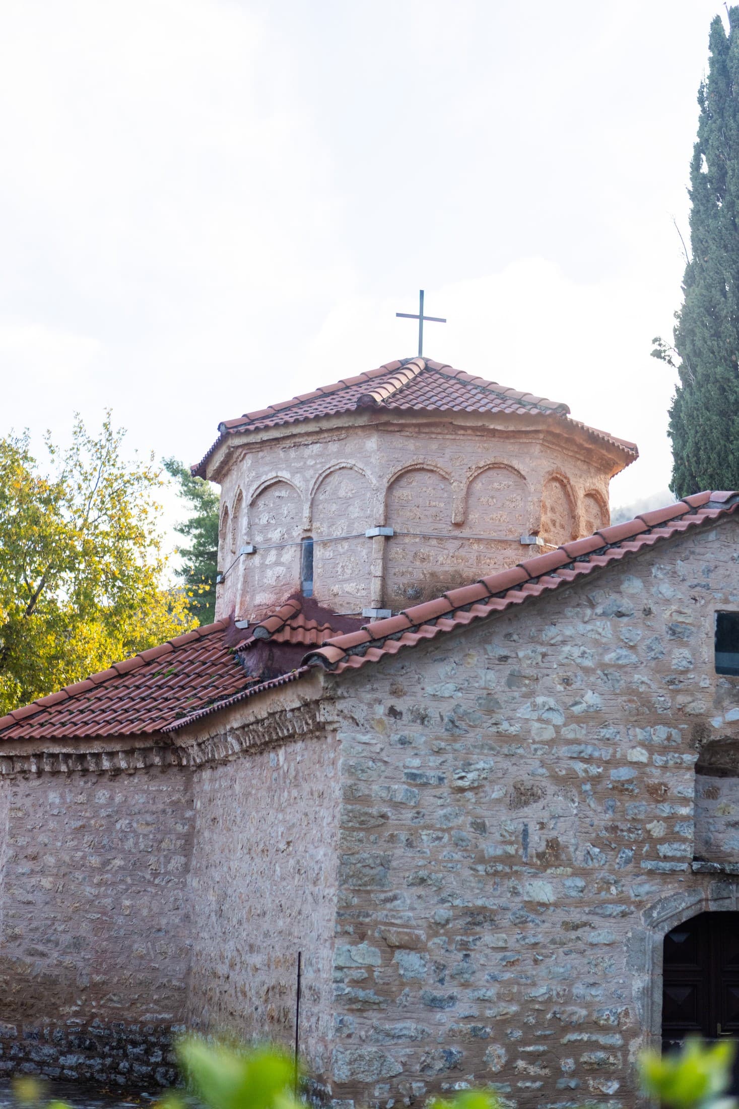 Alt text not provided