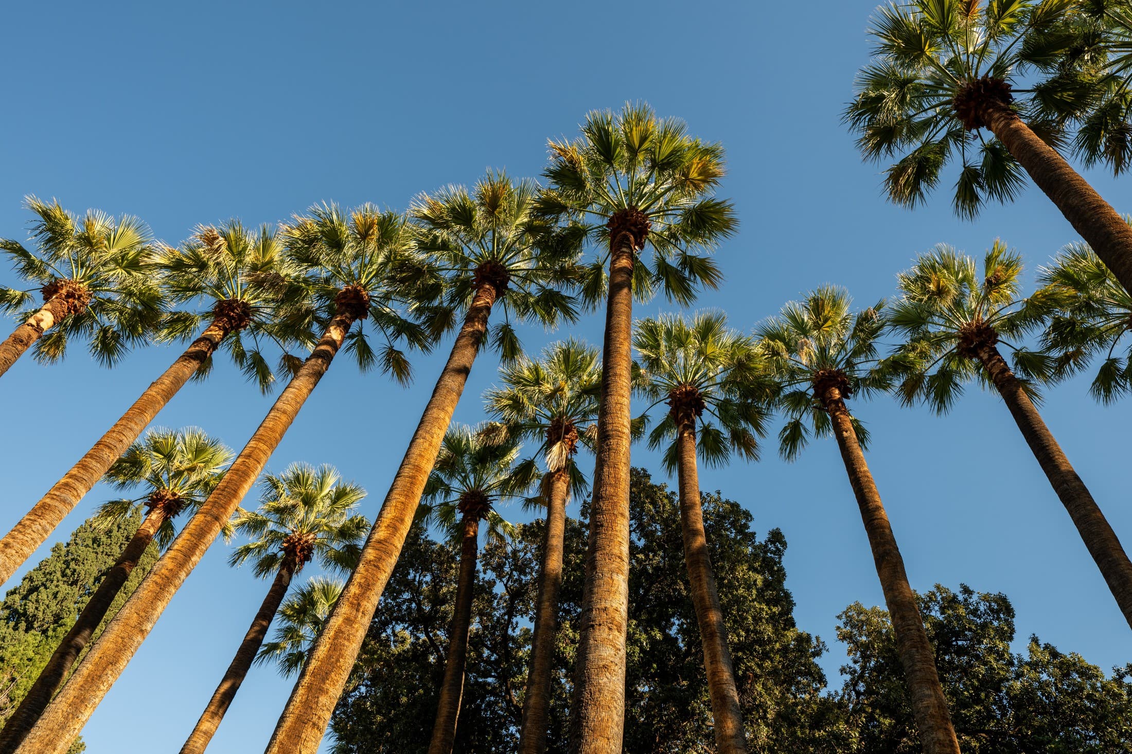 Alt text not provided