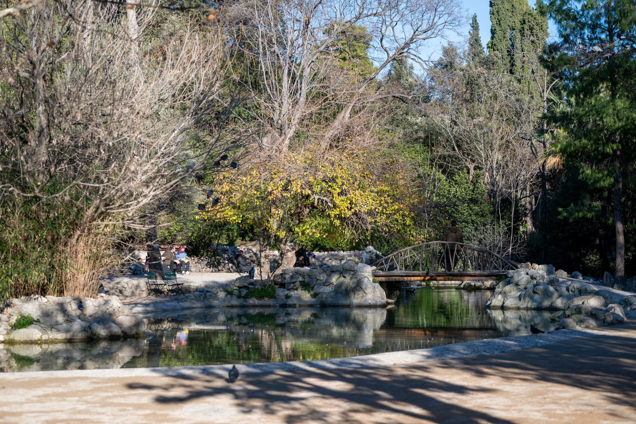 Alt text not provided