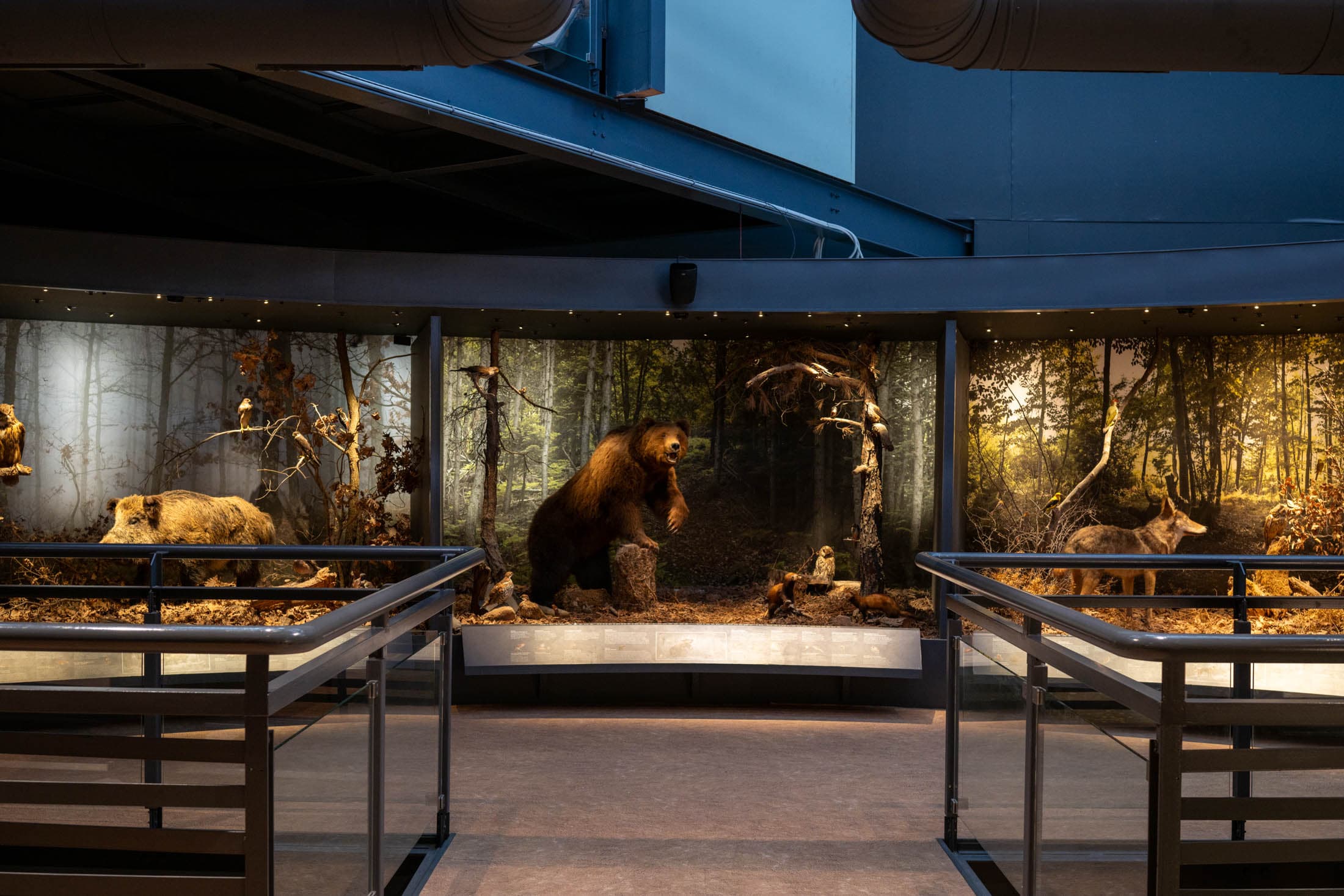 Alt text not provided