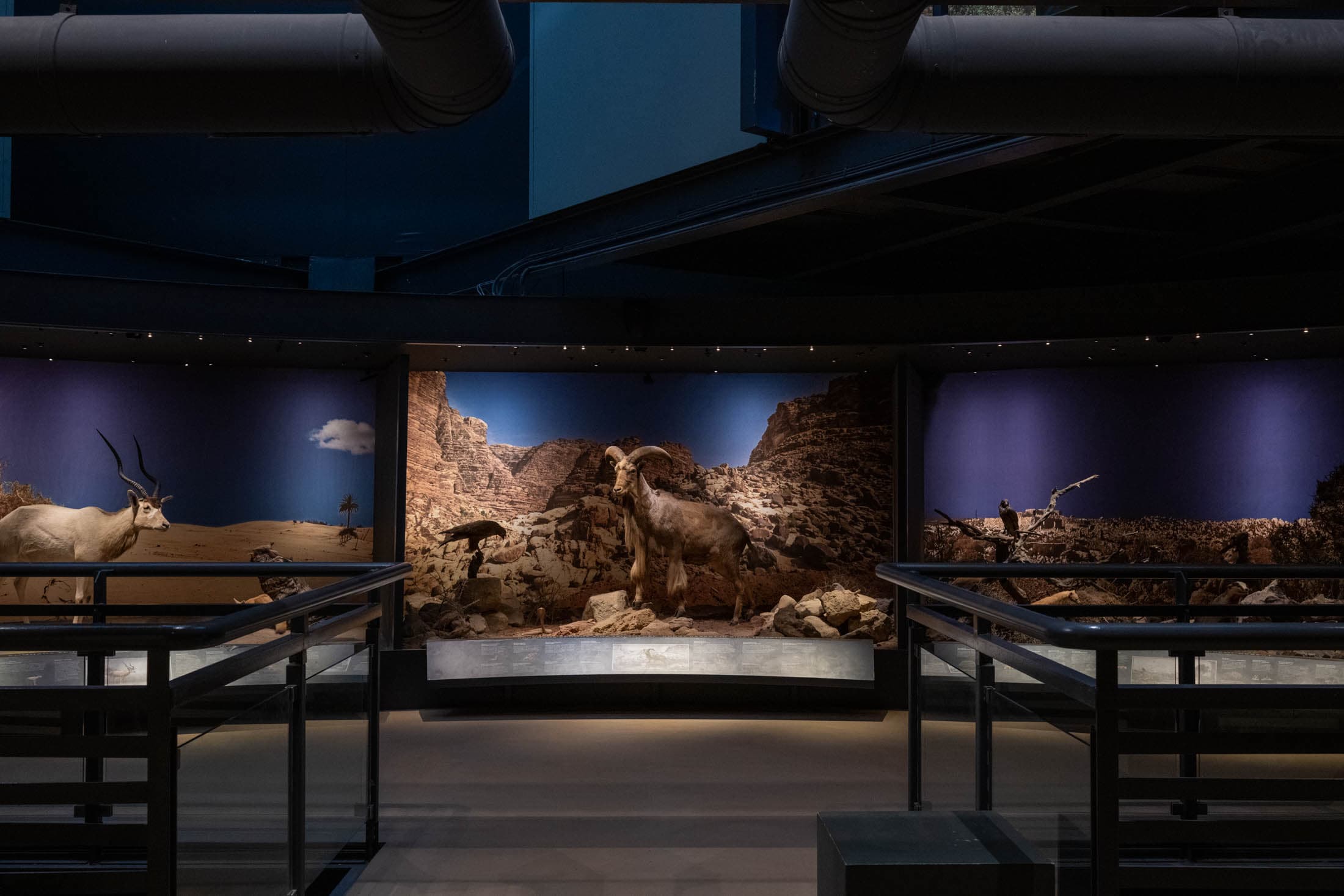 Alt text not provided