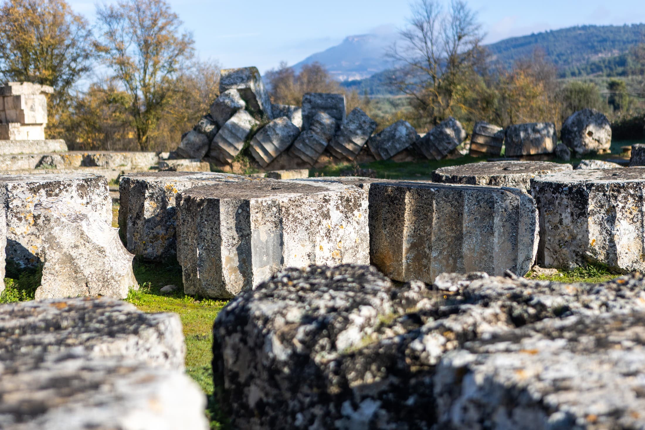 Alt text not provided