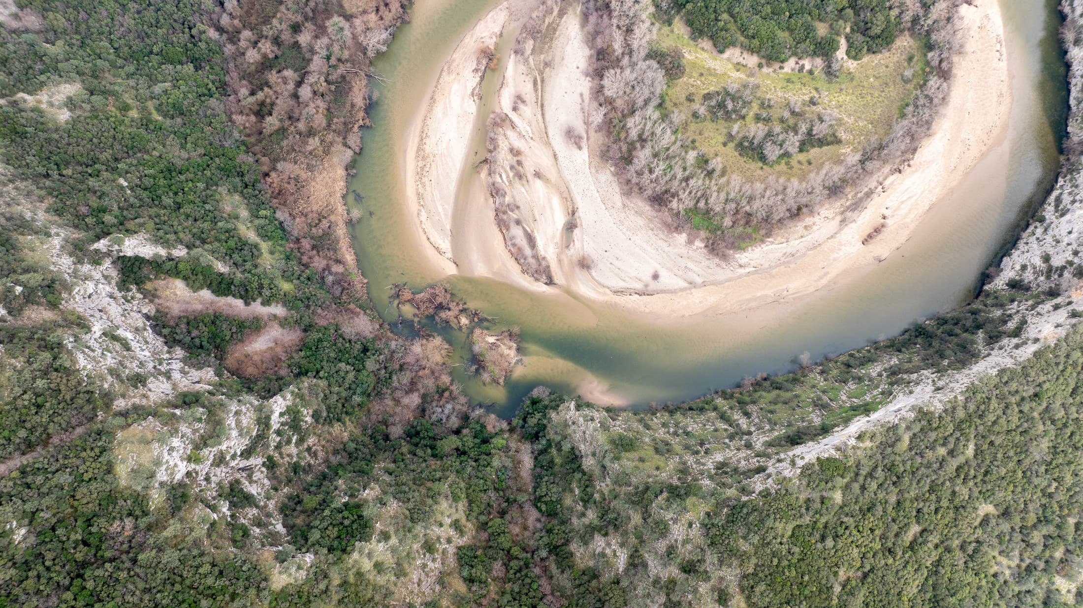 Alt text not provided